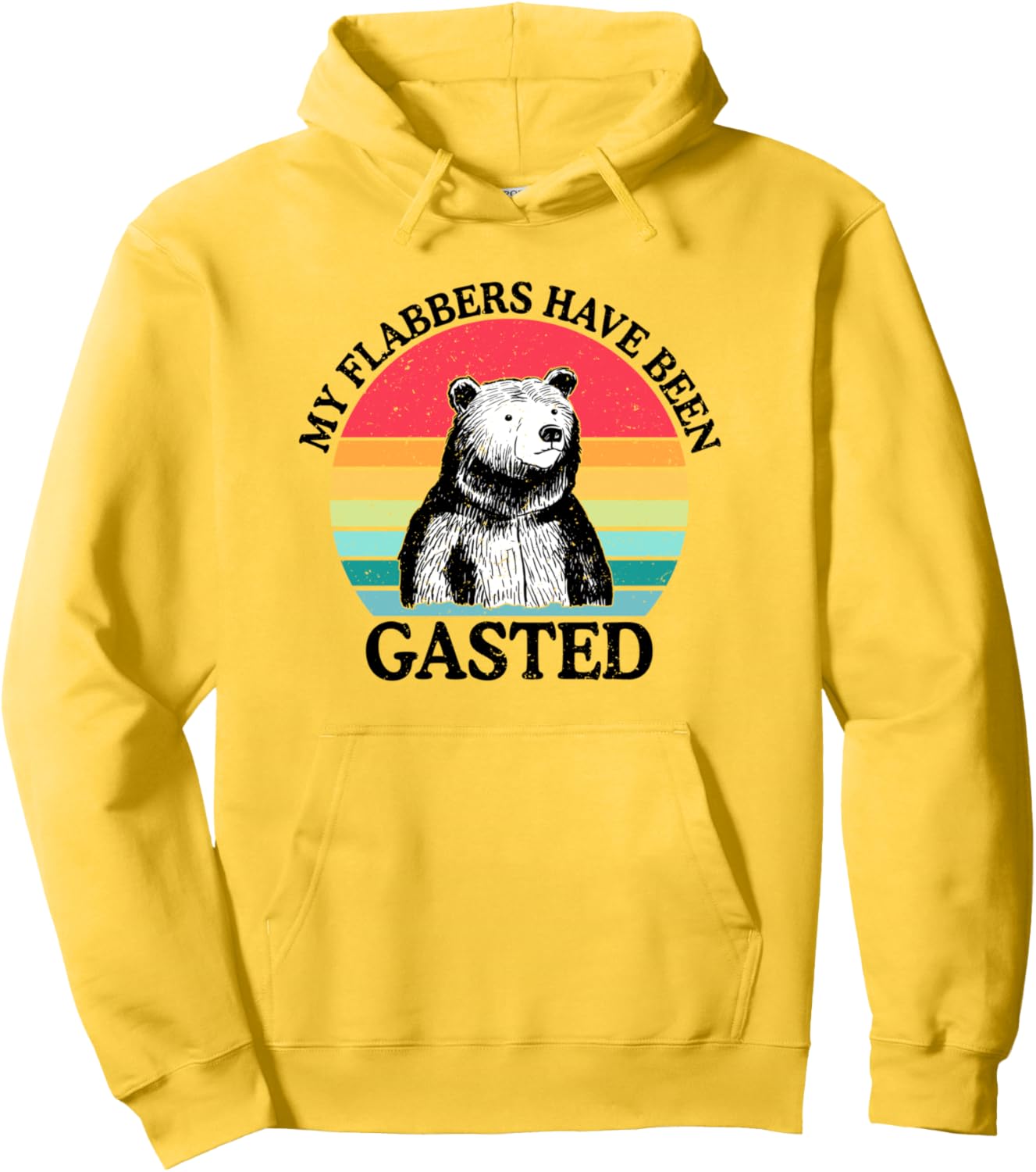 My Flabbers Have Been Gasted, Meme Funny Bear Pullover Hoodie