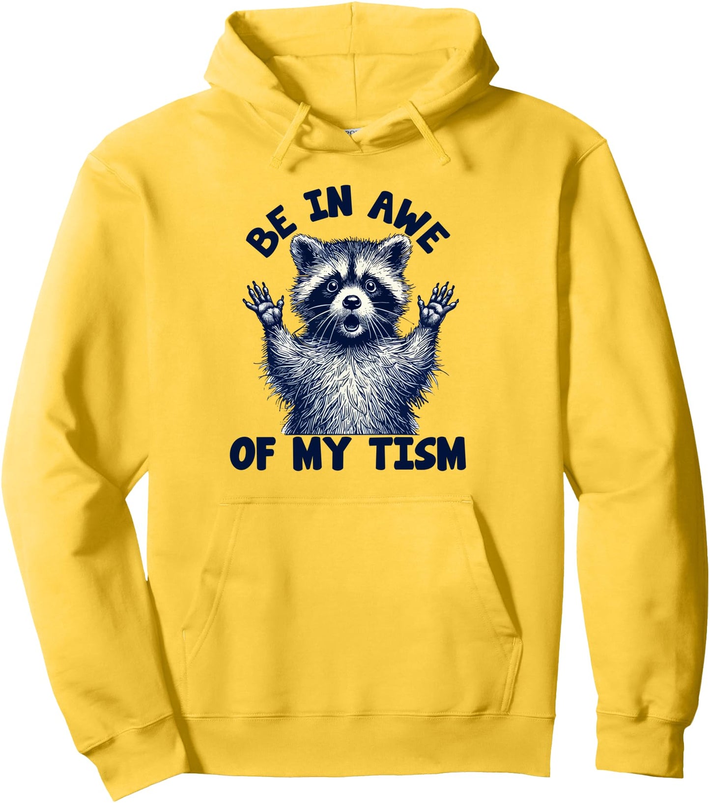 be in awe of my tism Funny Raccoon Pullover Hoodie