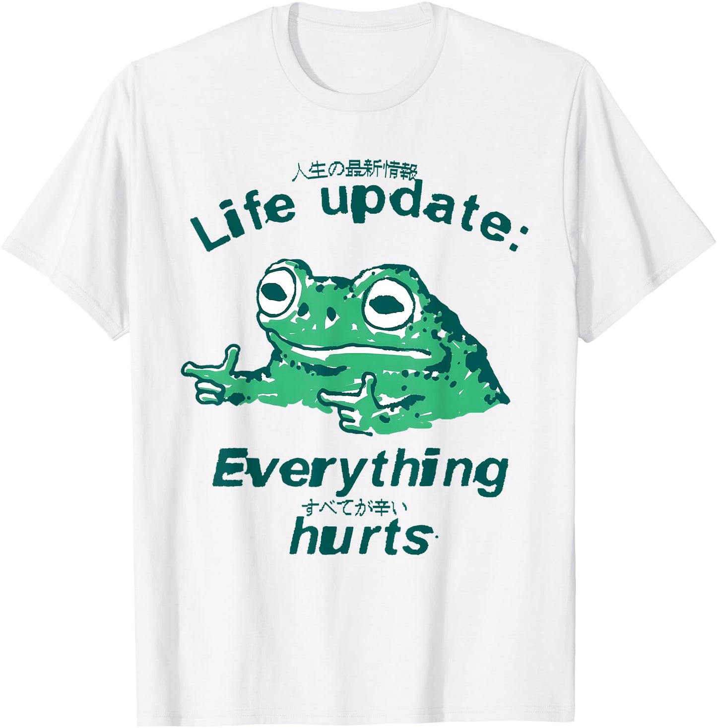 Life Update Everything Hurts Funny Frog Meme Japanese