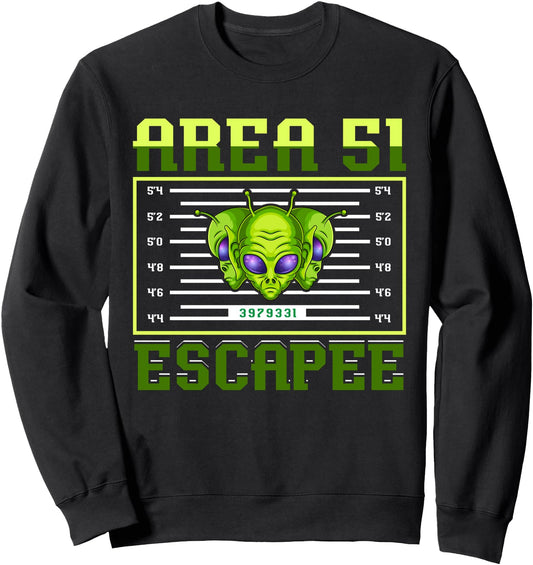 Alien Conspiracy Theory UFO Believer Funny Halloween Costume Sweatshirt