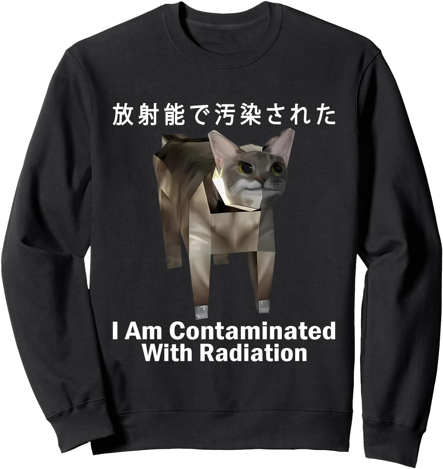I Am Contaminated With Radiation Japanese Cat Meme Sweatshirt