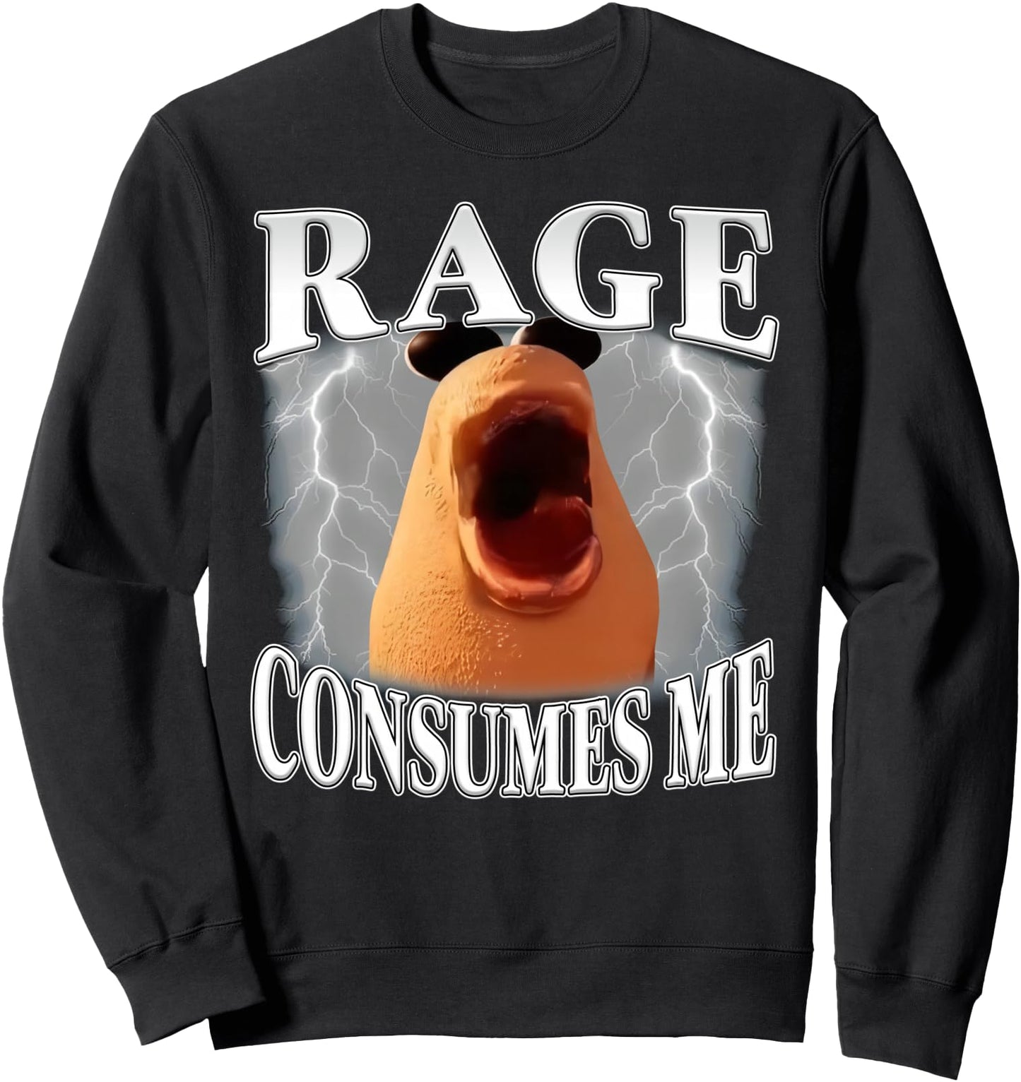 Rage Consumes Me Funny Marcus The Worm Meme For Women Men Sweatshirt