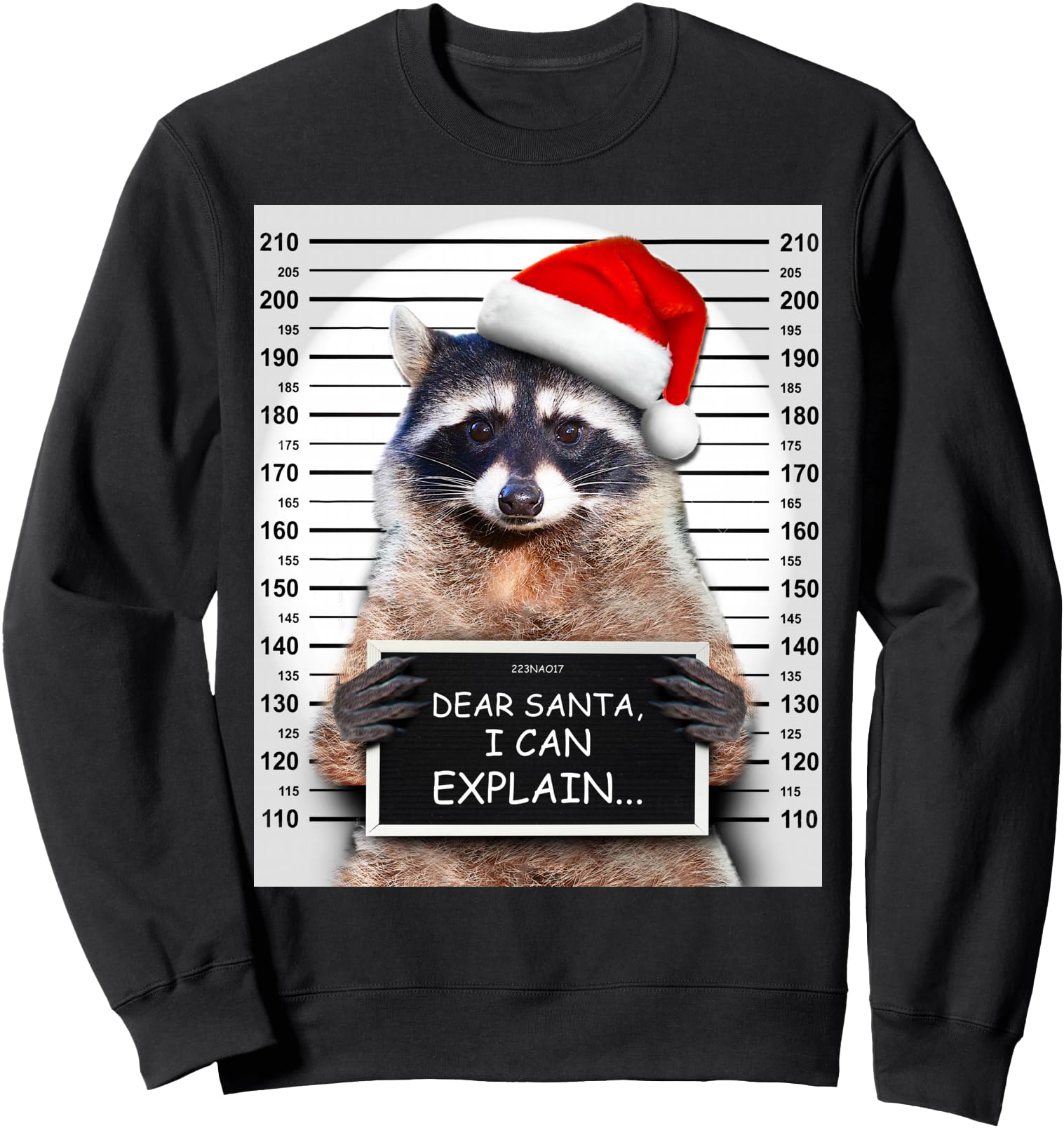 Dear Santa I Can Explain Funny Christmas Raccoon Sweatshirt