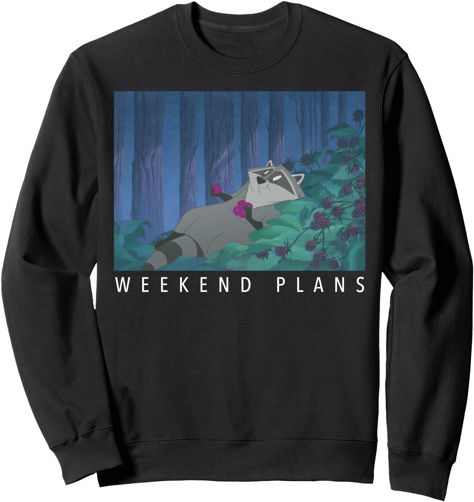 Disney Pocahontas Meeko Weekend Plans Sweatshirt