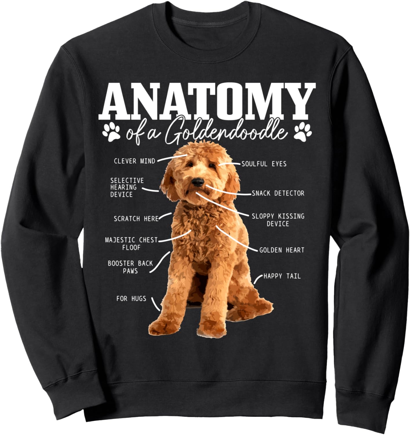 Anatomy Of A Goldendoodle Funny Cute Dog Doodle Mom Dad Sweatshirt