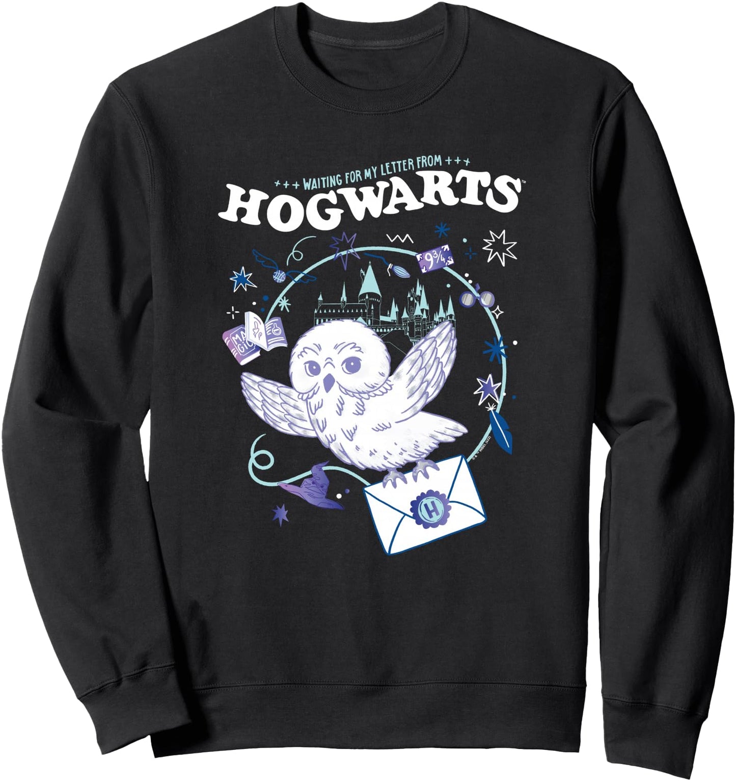 Harry Potter Deathly Hallows 2 Hogwarts Owl Messenger Sweatshirt