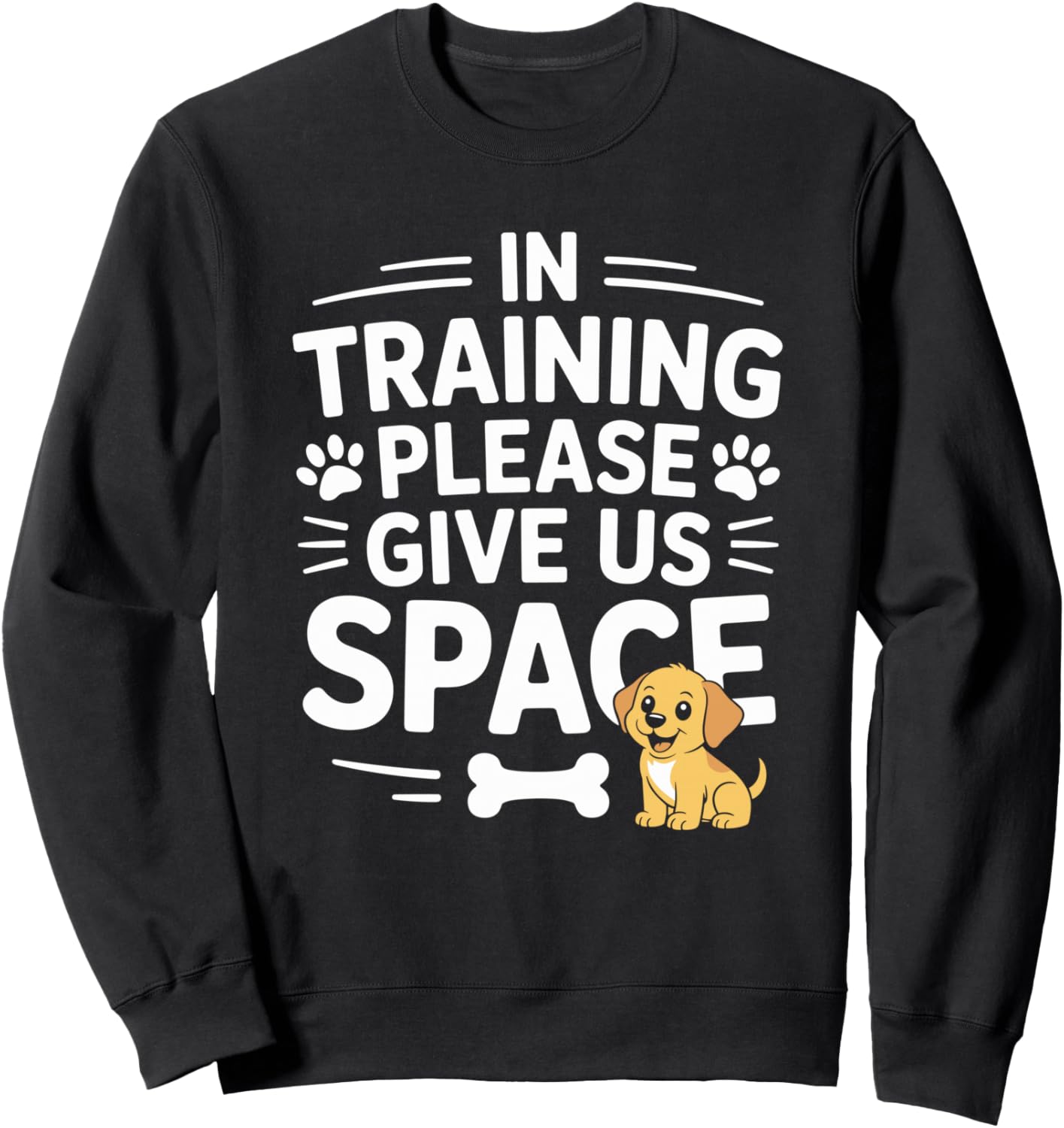 In Training Please Give Us Space, Dog Trainer Animal Lover Sweatshirt