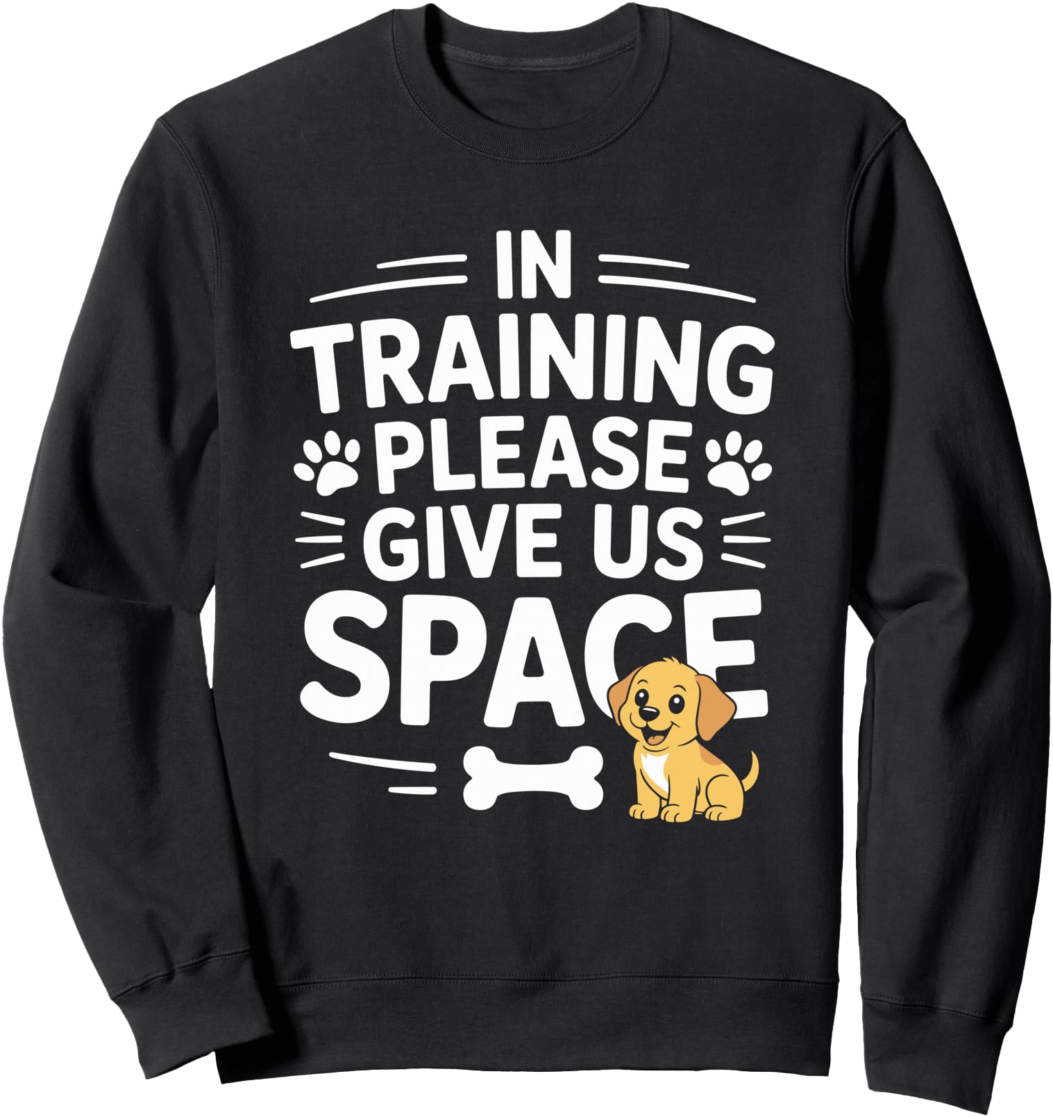In Training Please Give Us Space, Dog Trainer Animal Lover Sweatshirt