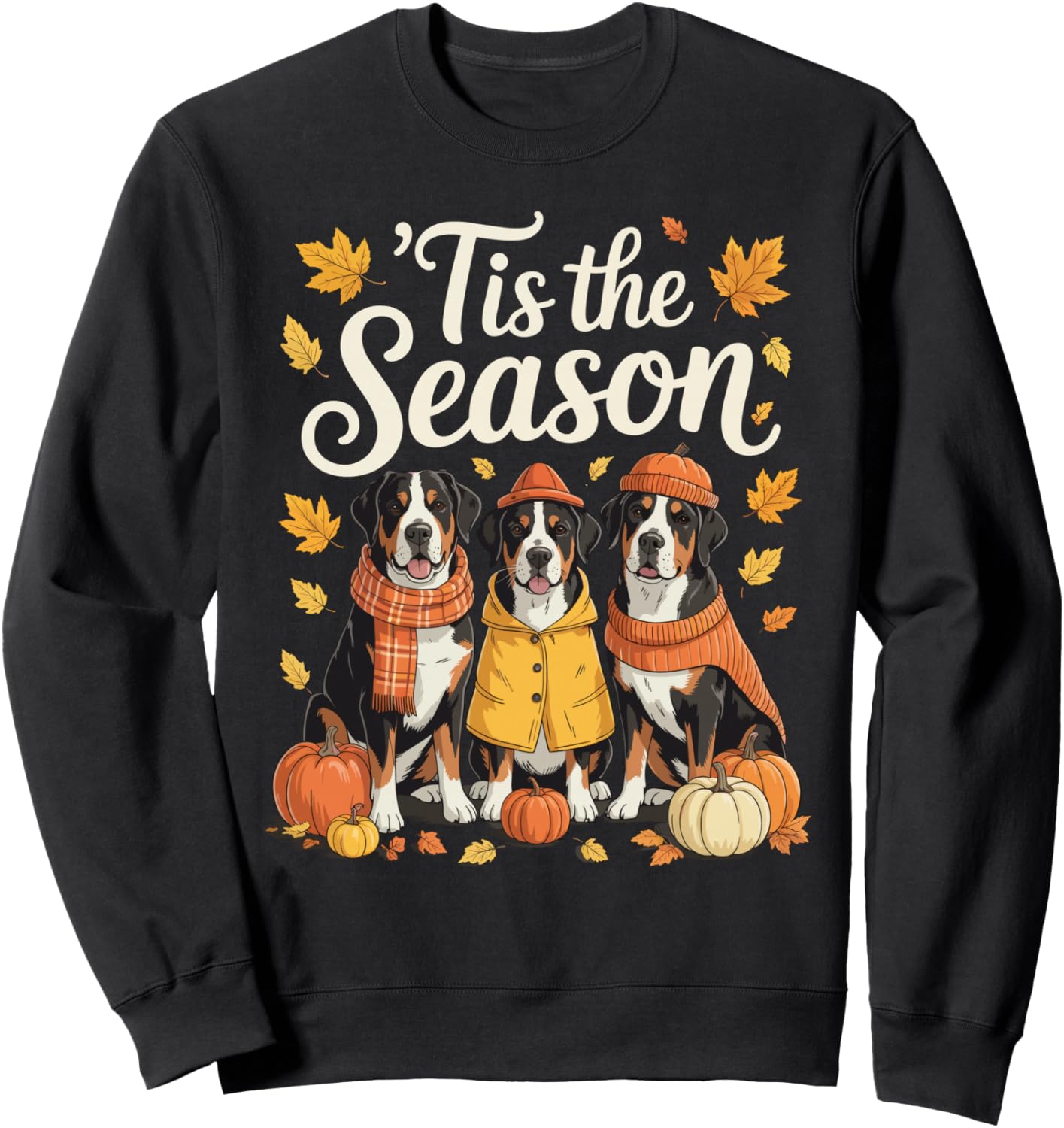 Tis The Season Greater Swiss Mountain Dog Fall Pumpkin Sweatshirt