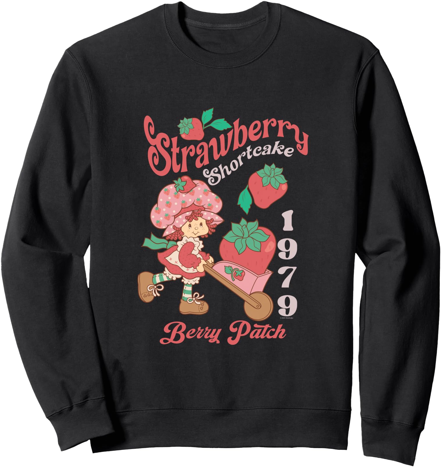 Strawberry Shortcake Vintage 1979 Berry Patch Kawaii Cartoon Sweatshirt