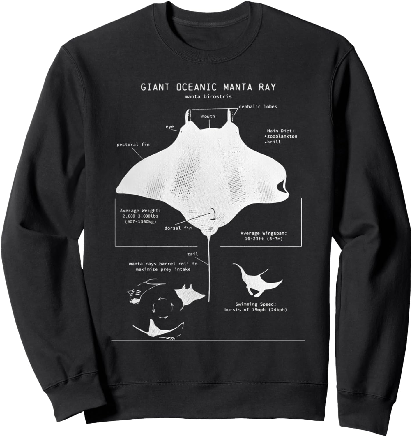 Manta Ray Anatomy Sweatshirt