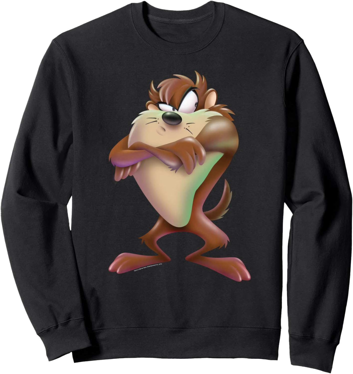 Looney Tunes Tazmanian Devil Airbrushed Sweatshirt