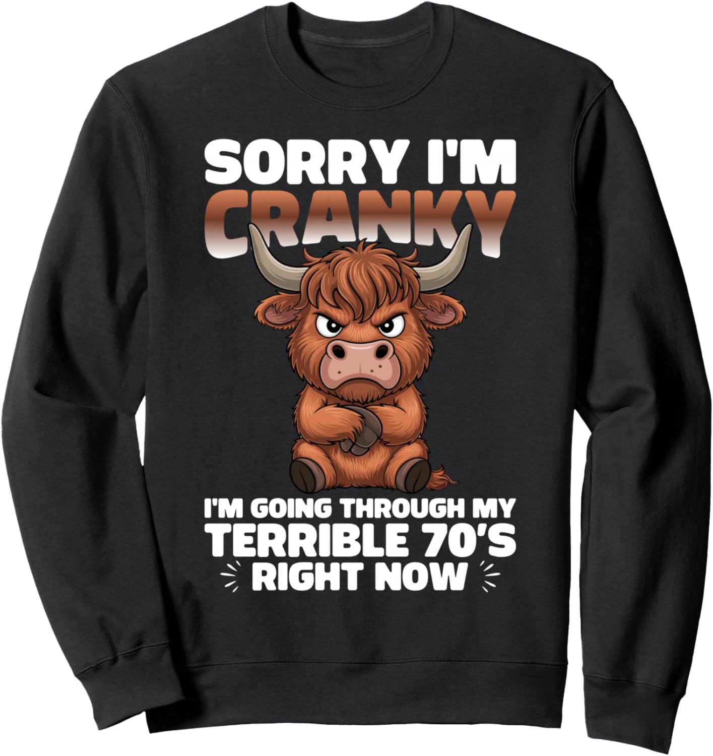 Sorry I'm Cranky I'm Going Through My Terrible 70\u2019s Right Sweatshirt