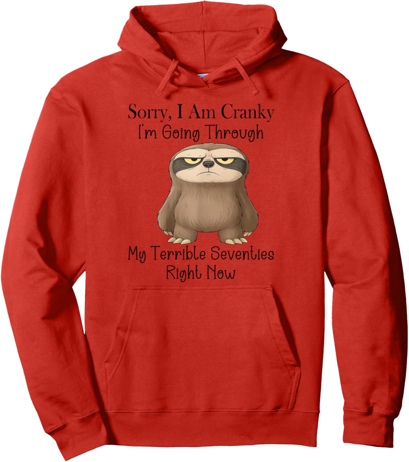 Sloth I'm Going Through My Terrible Seventies Right Now Pullover Hoodie