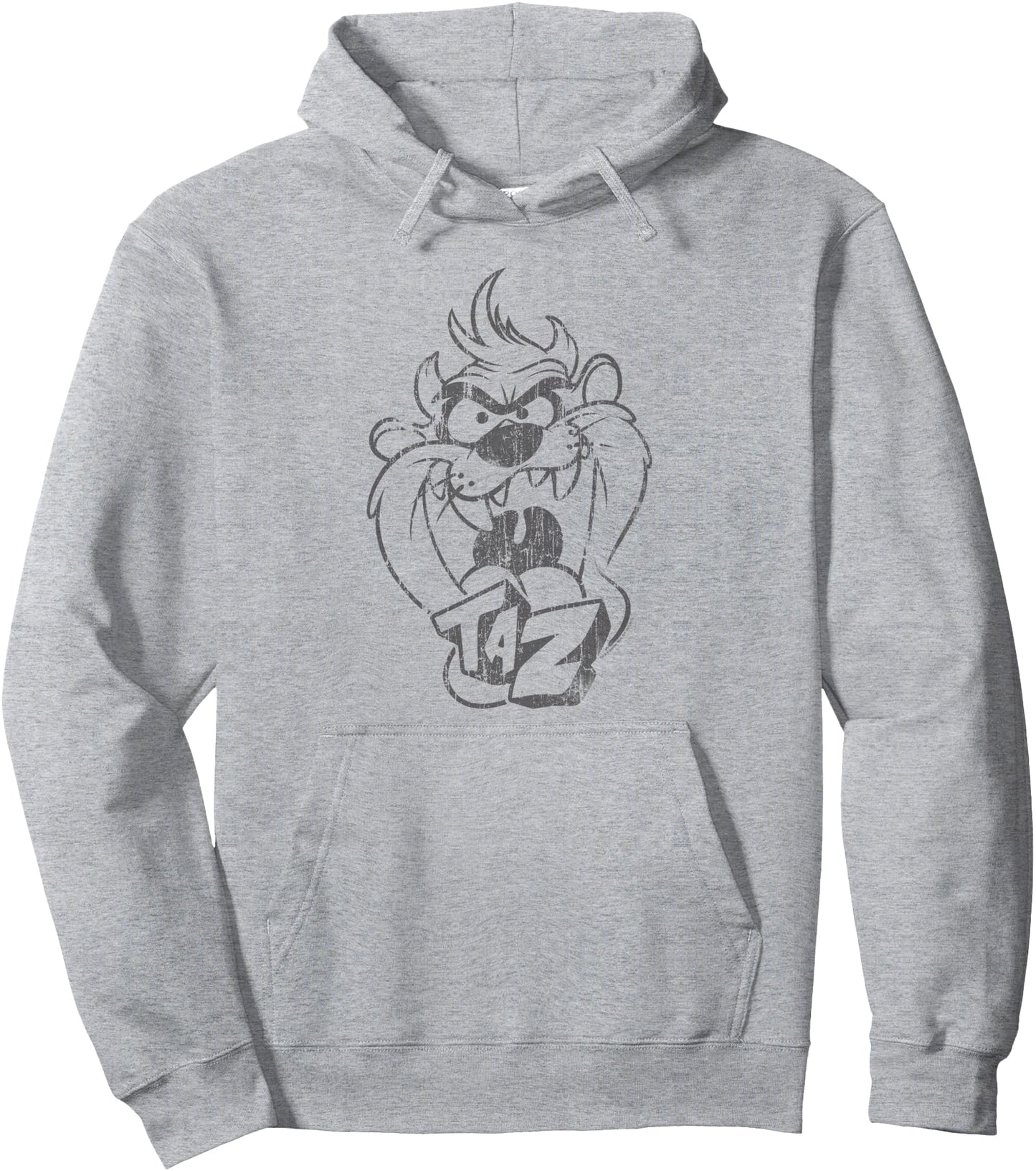 Looney Tunes Faded Taz Pullover Hoodie