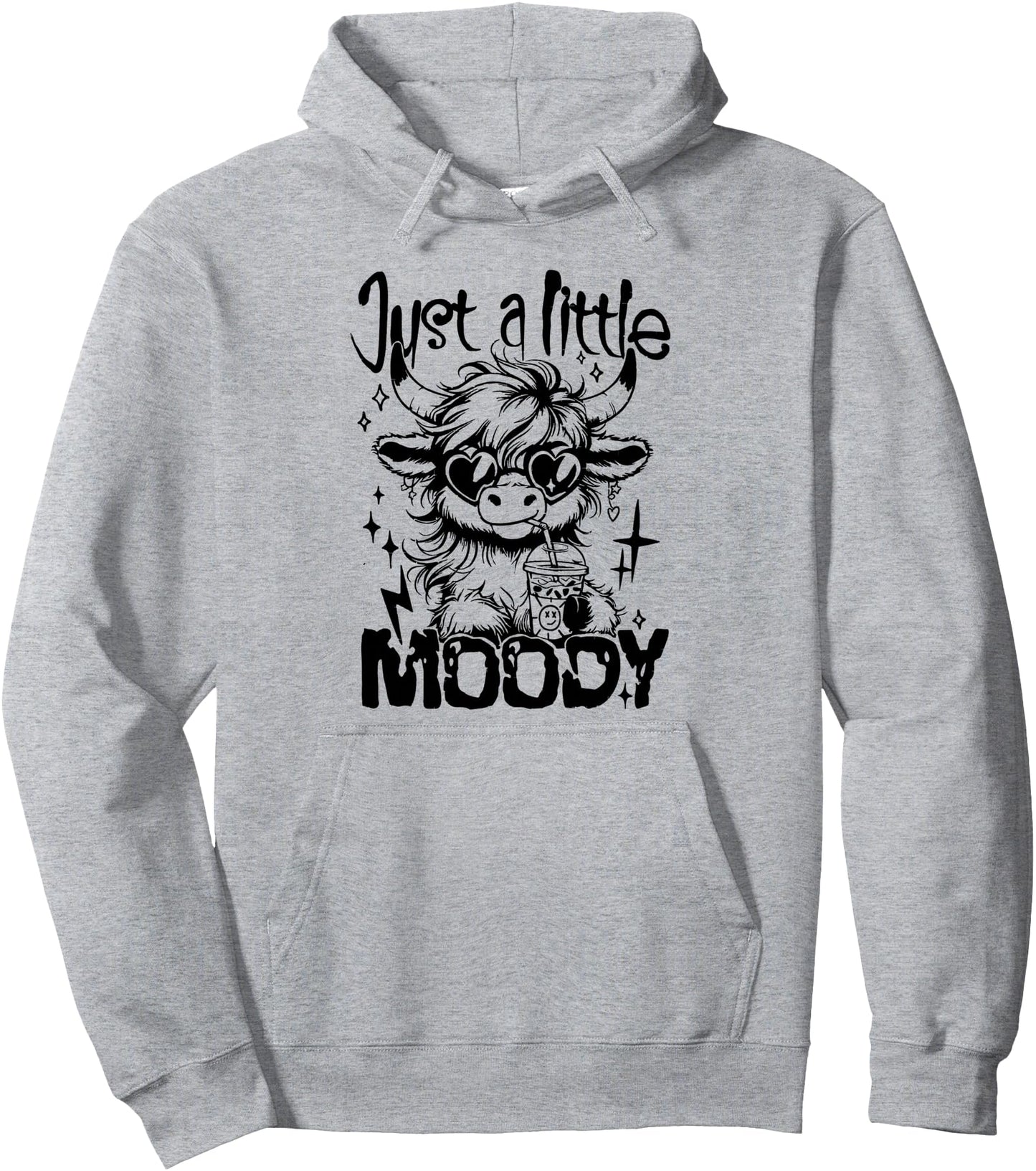 Gifts For Family Just A Little Moody Unisex-Adults Classic Hoodie Grey Small