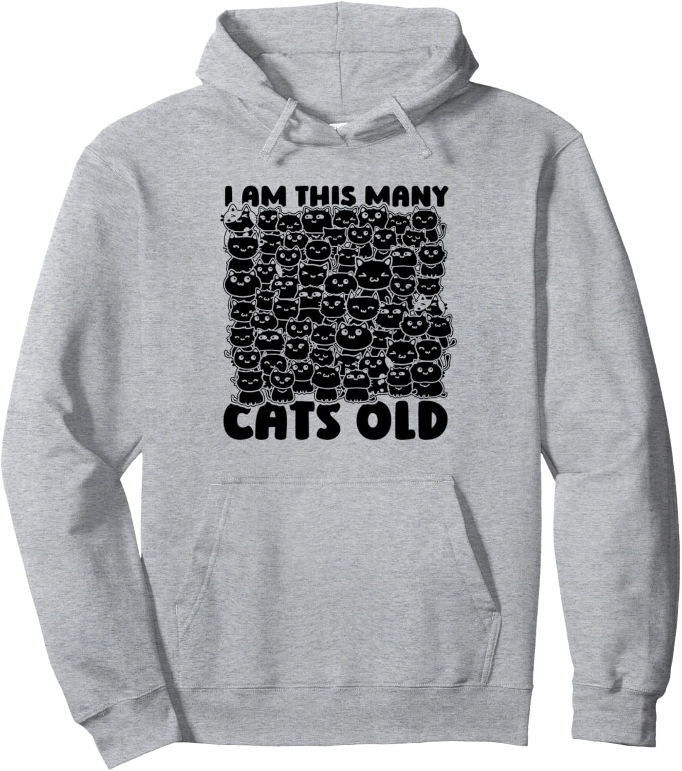 Birthday 60 Cats 60th Years Old Party Wife Sixieth Birthday Pullover Hoodie
