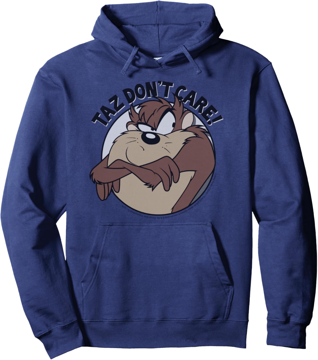 Looney Tunes Taz Don't Care Portrait Pullover Hoodie