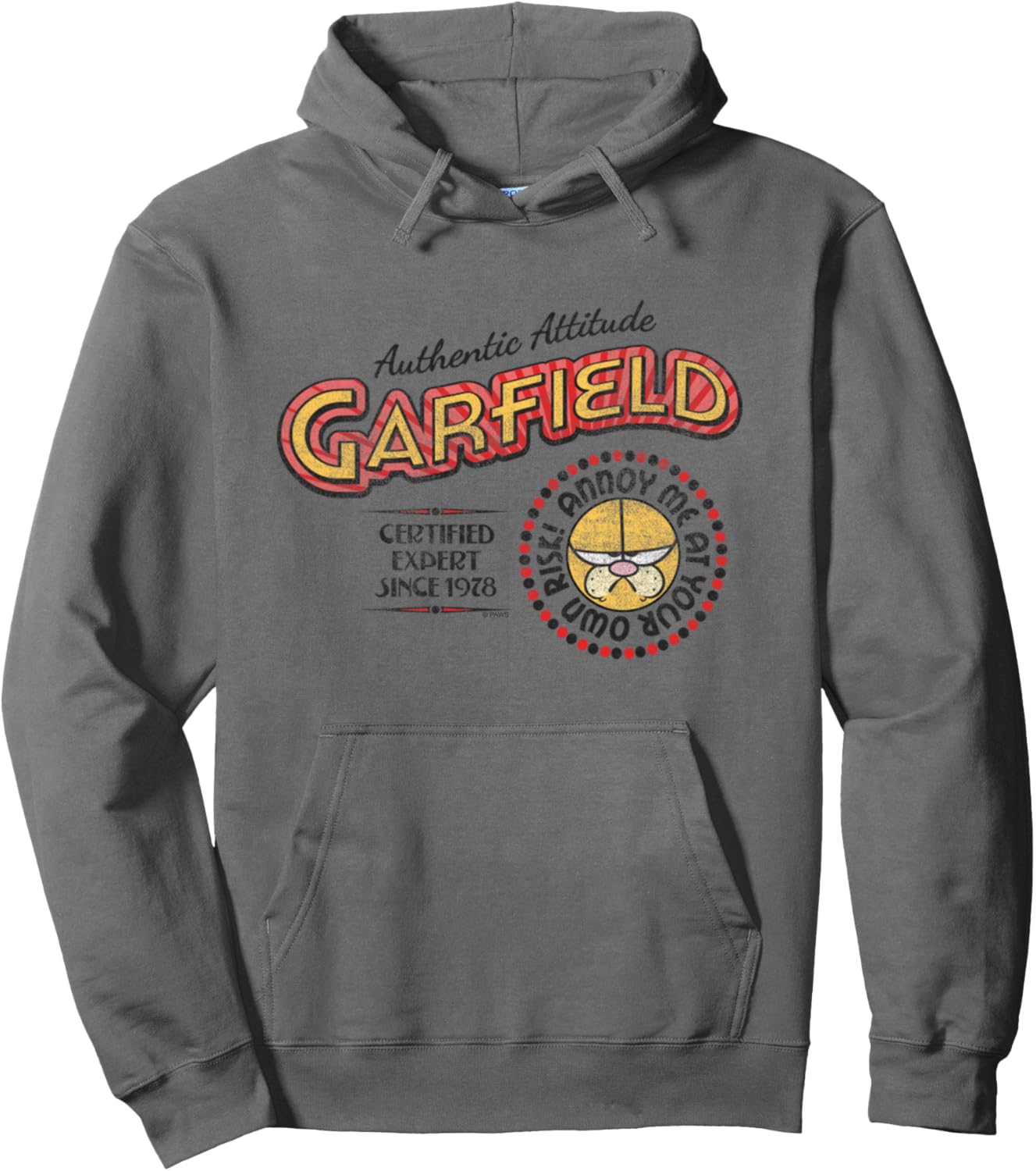 Garfield Authentic Attitude Expert Cartoon Cat Pullover Hoodie