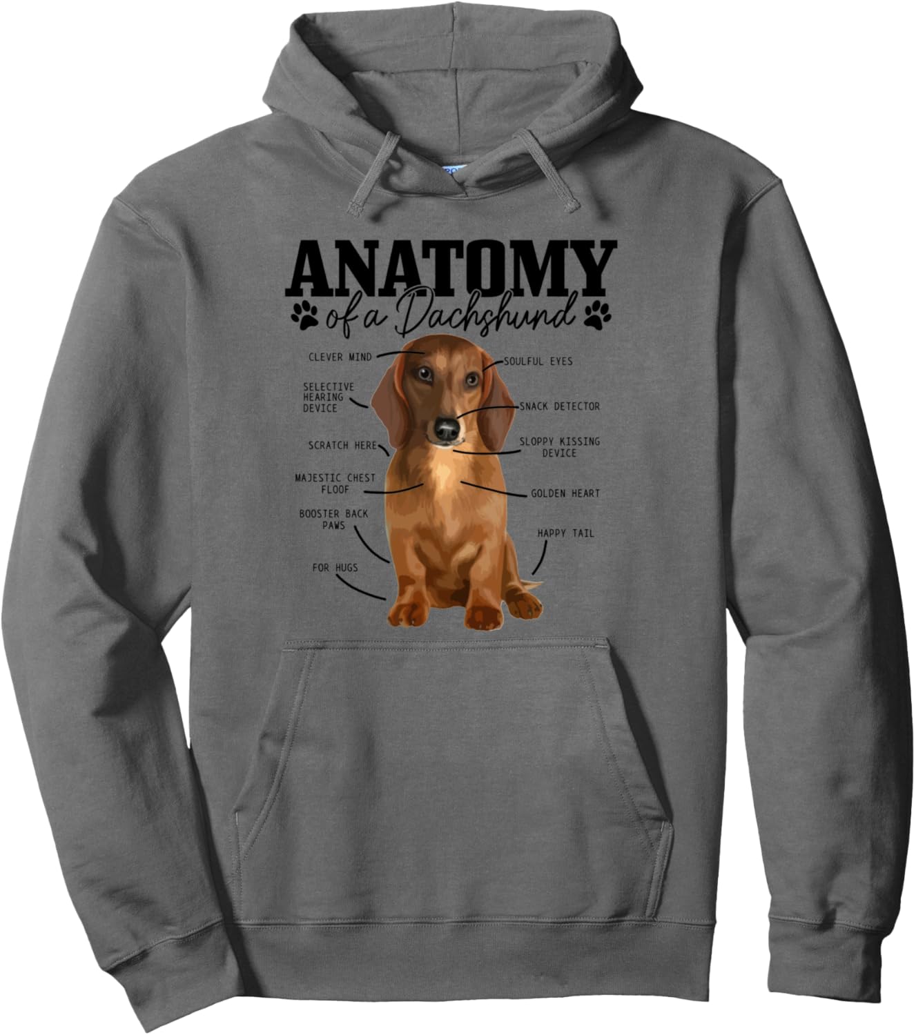 Anatomy Of A Dachshund Funny Cute Wiener Dog Mom Dad Pullover Hoodie