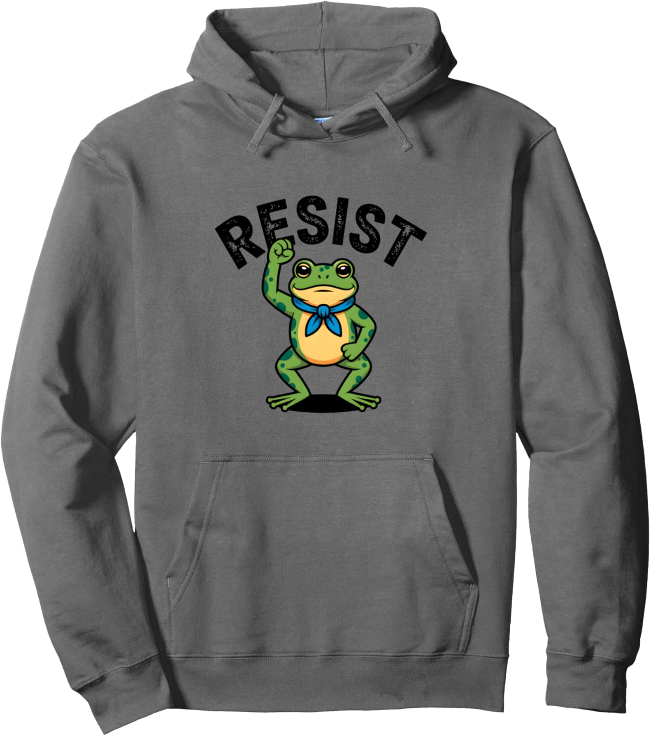 Frogs Resist - Portland Frog Protest Pullover Hoodie