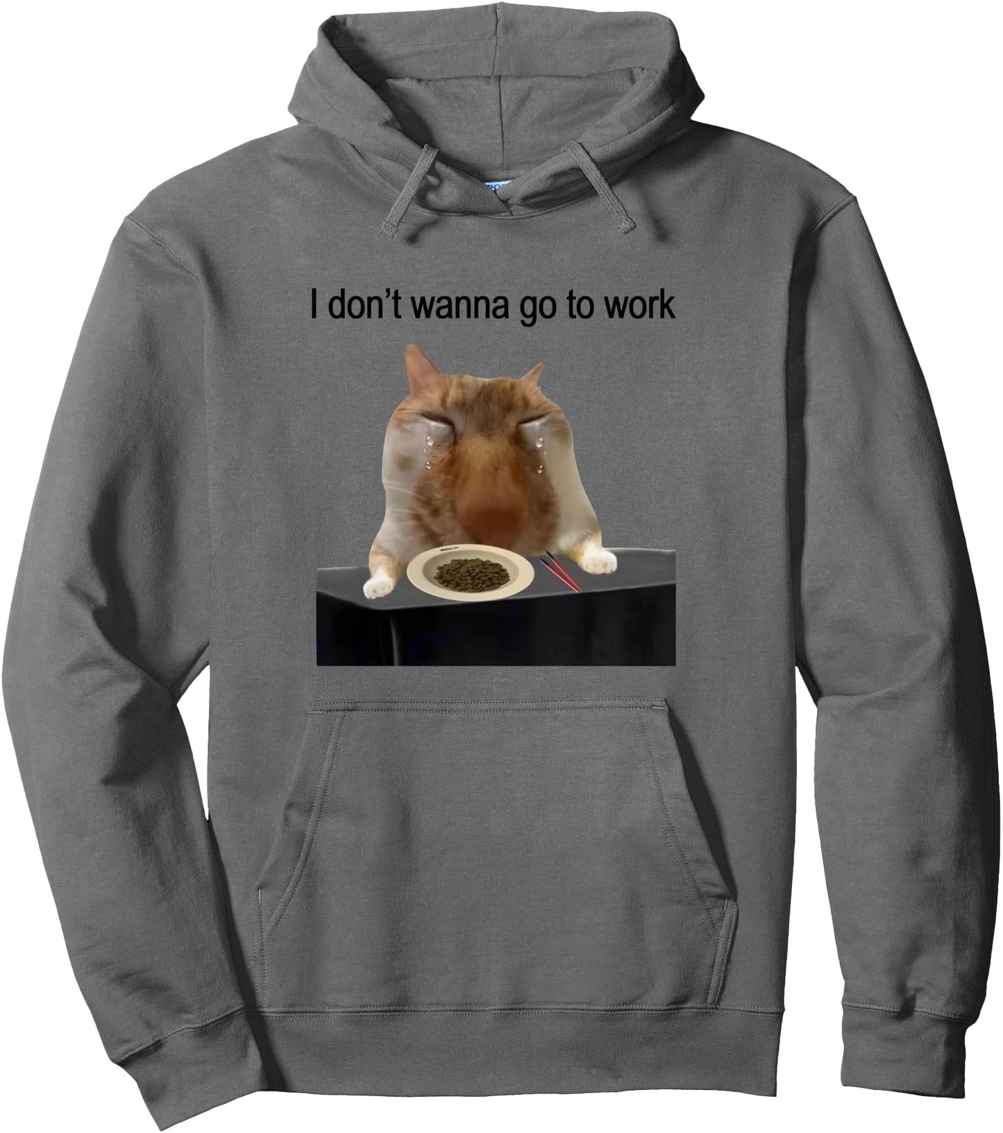 Y2K Cat Funny Crying Cat Meme I Don't Wanna Go To Work Shirt Pullover Hoodie