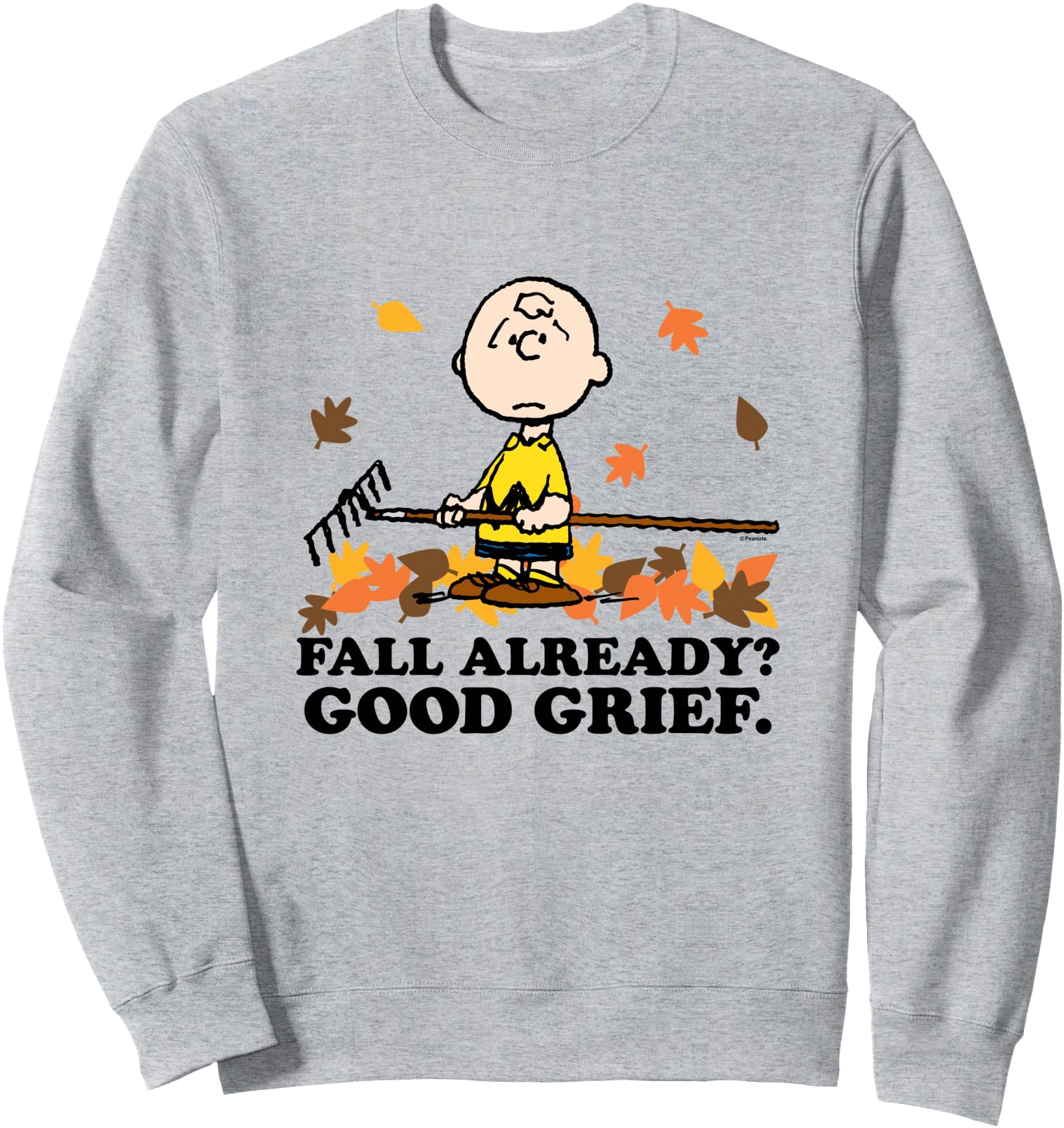 Peanuts - Fall Ready Sweatshirt