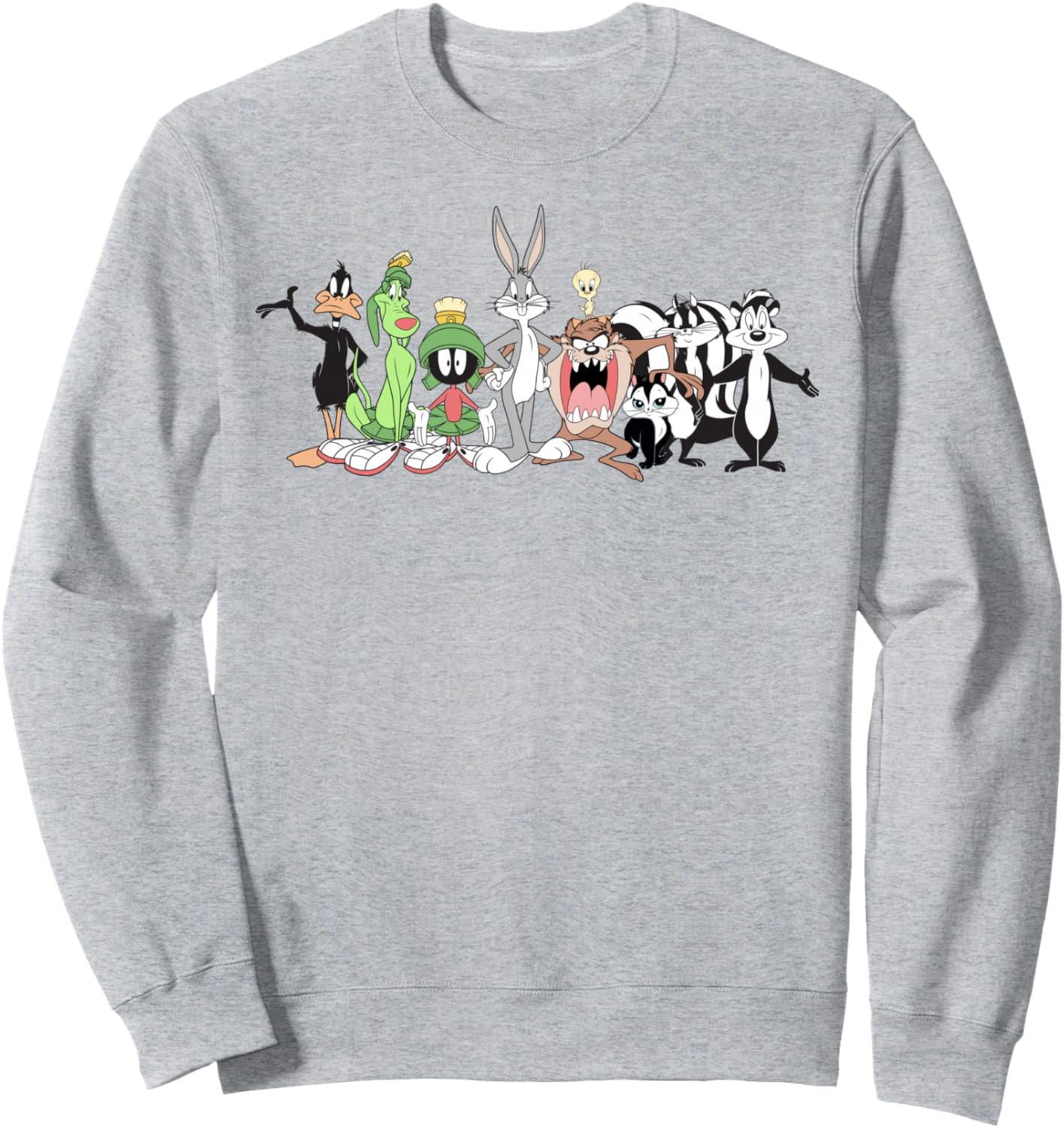 Looney Tunes Group Shot Line Up Front & Back Sweatshirt