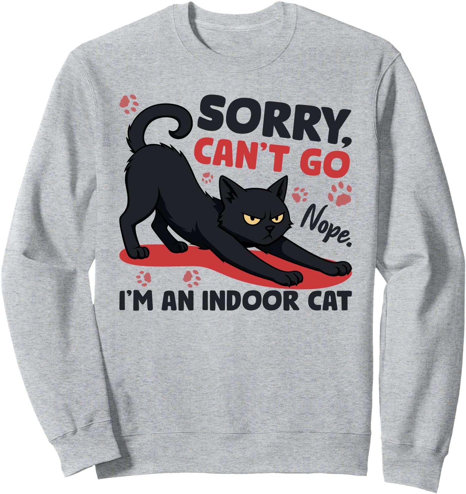 Sorry Can't Go I'm An Indoor Cat Funny Introvert Cat Lover Sweatshirt