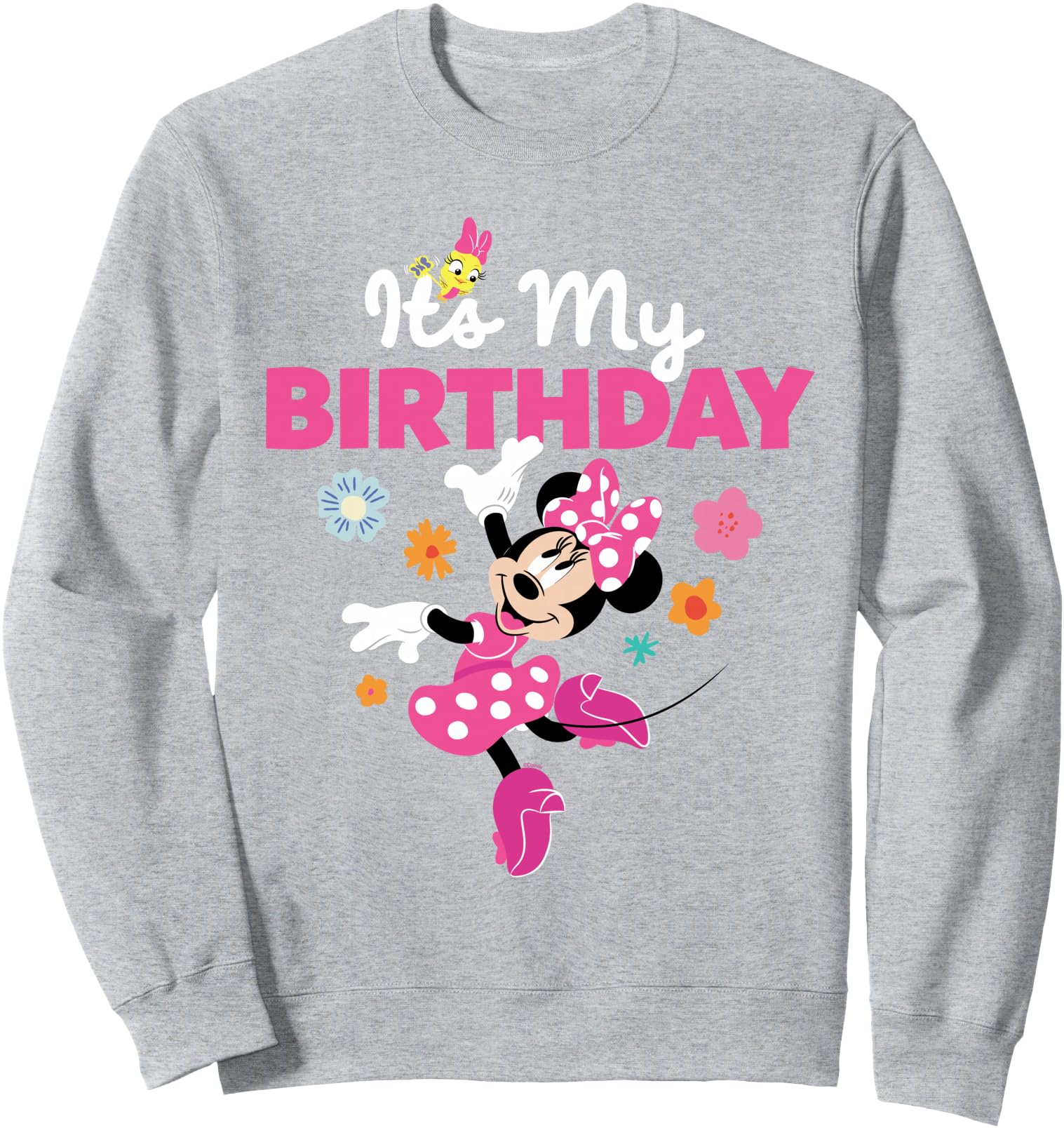 Disney Jr. Minnie Mouse It's My Birthday Birthday Party Sweatshirt