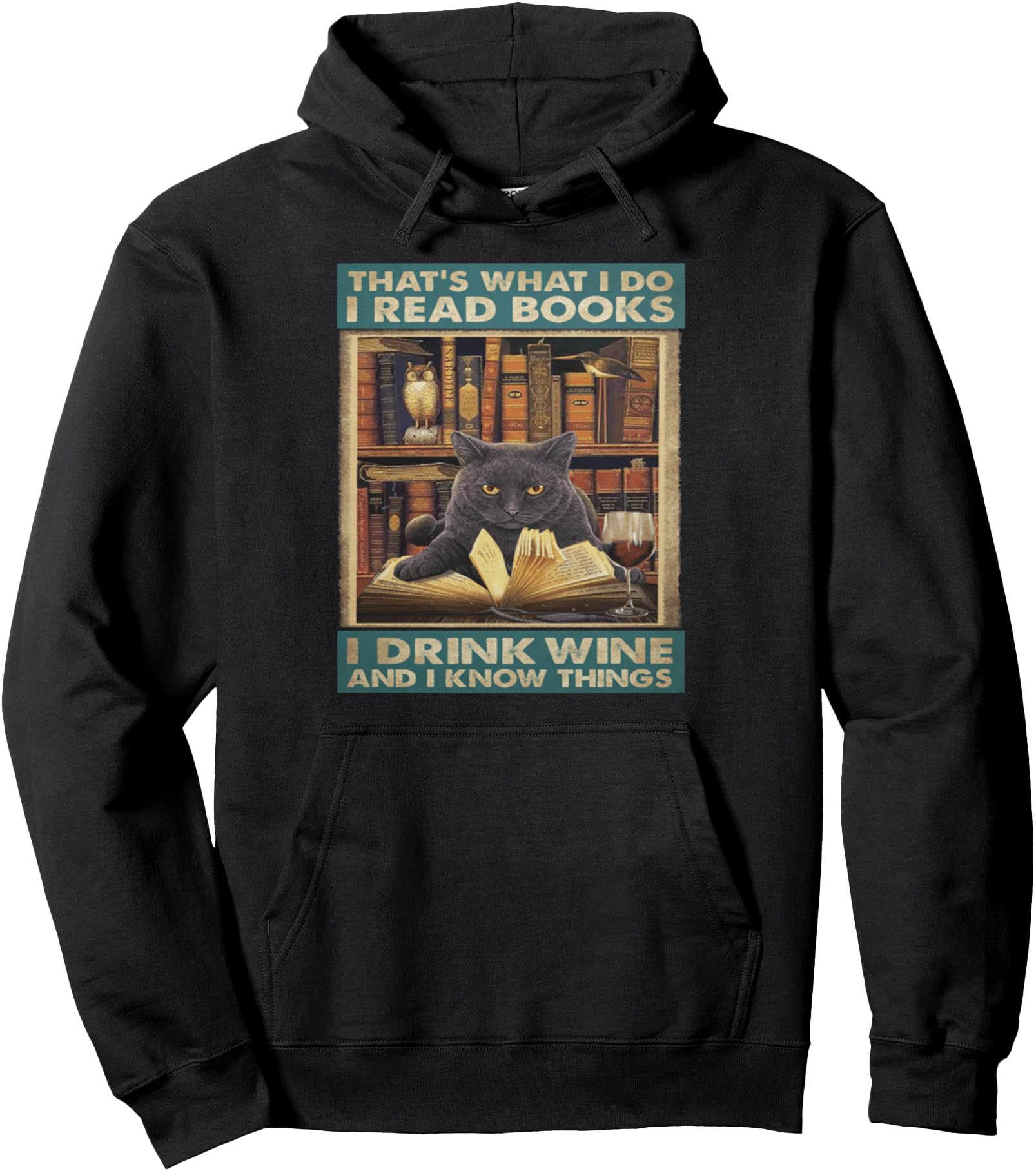 I Read Books I Drink Wine And I Know Things Pullover Hoodie
