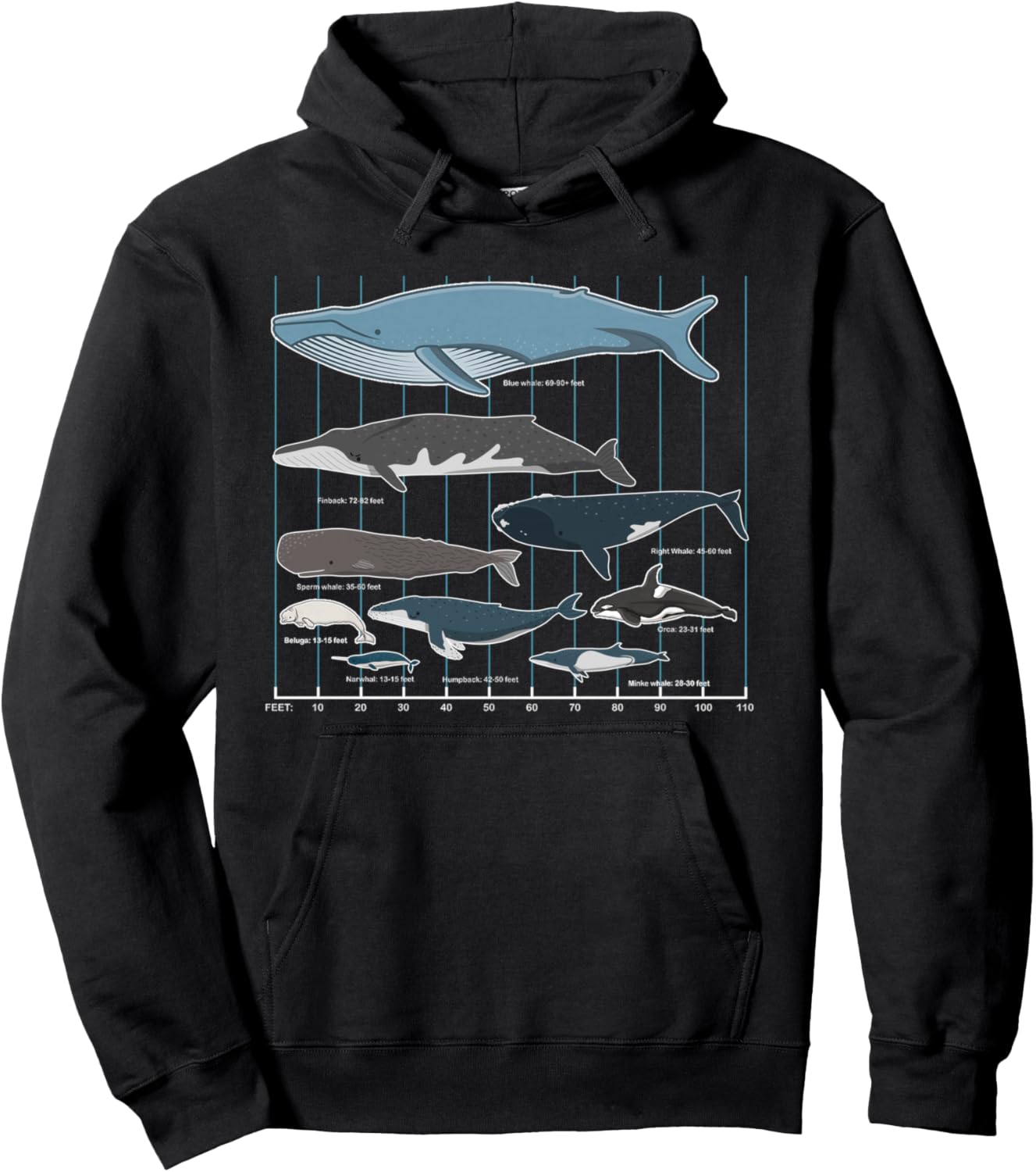 Types Of Whales Cute Ocean Mammals Guide Pullover Hoodie