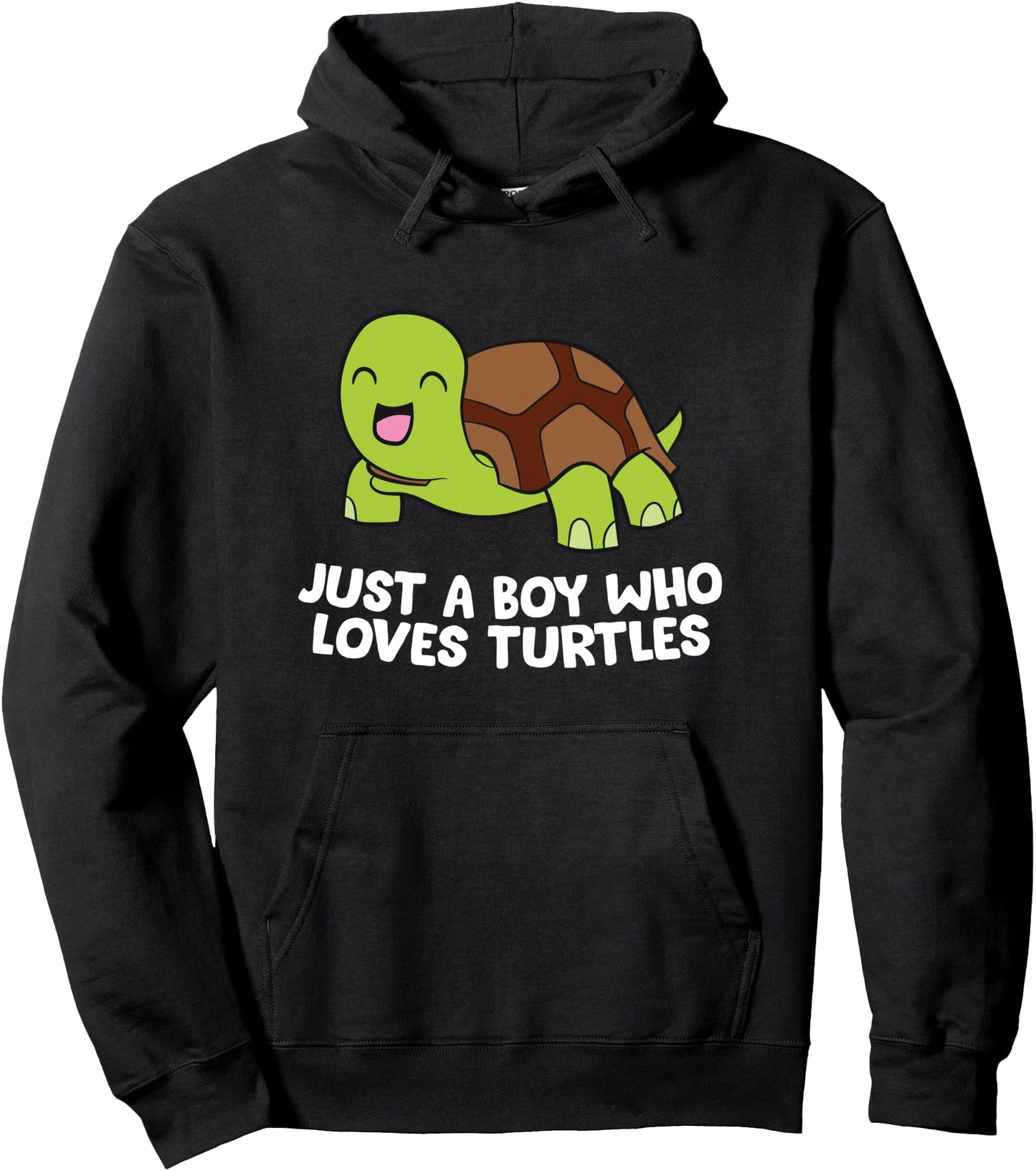 Just A Boy Who Loves Turtles Cartoon Sea Turtle Boy Pullover Hoodie