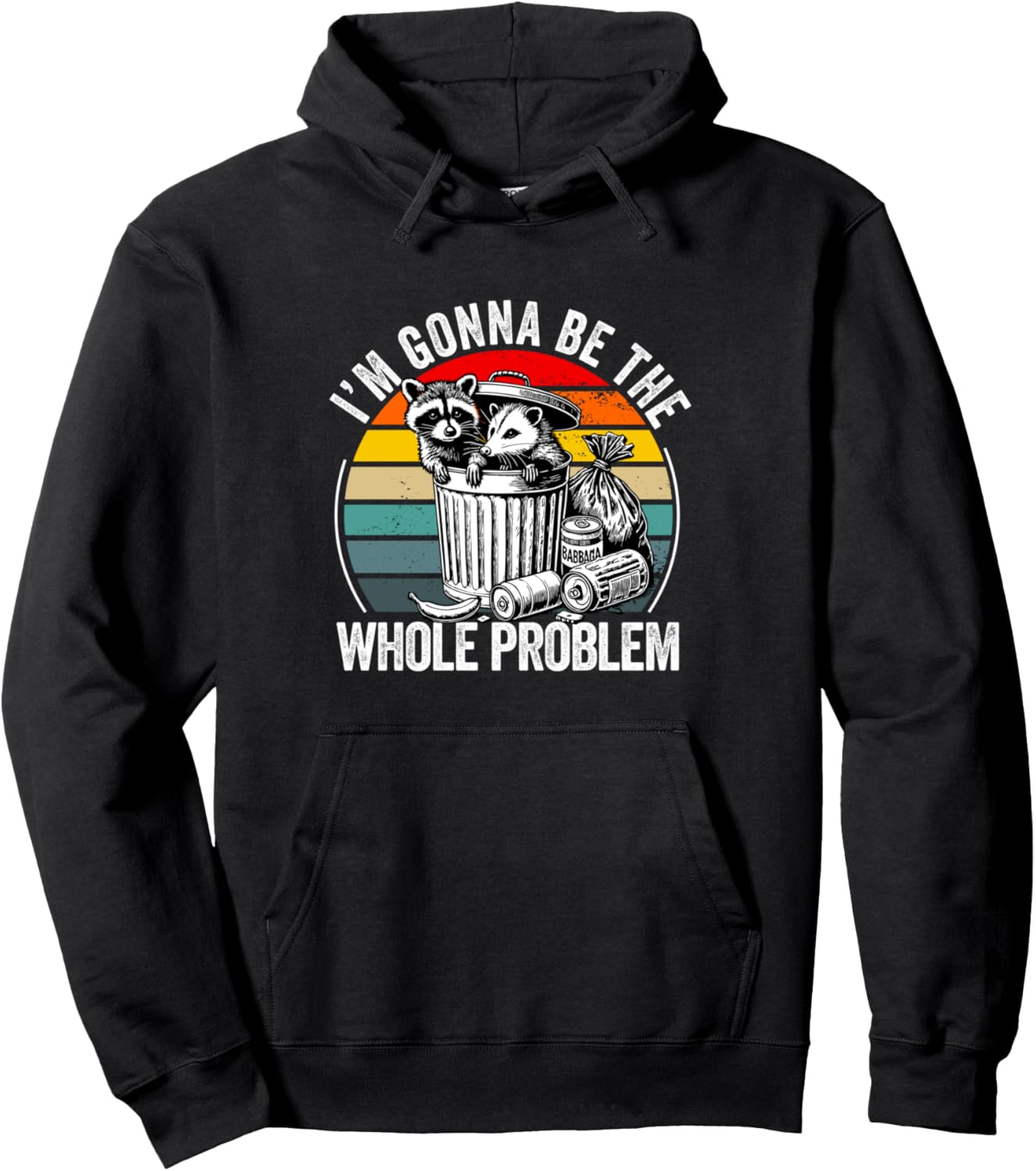 I'm Gonna Be The Whole Problem Funny Raccoon Pullover Hoodie
