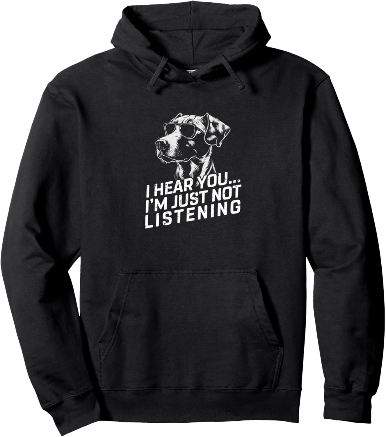 Catahoula I Hear You Not Listening Funny Dog Pet Lover Gifts Pullover Hoodie