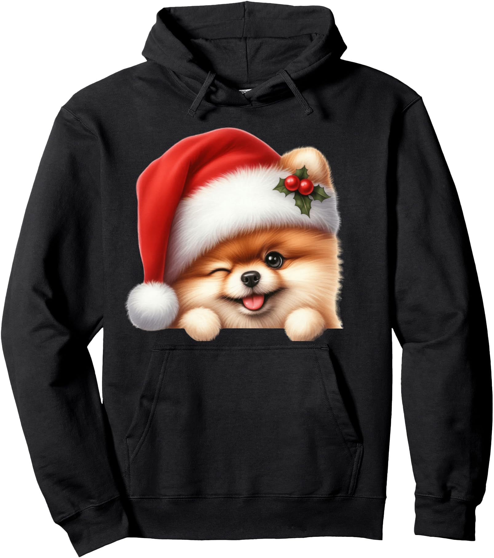 Pomeranian Dog Christmas Santa Hat Dog Mom Dad Pom Pom Pullover Hoodie
