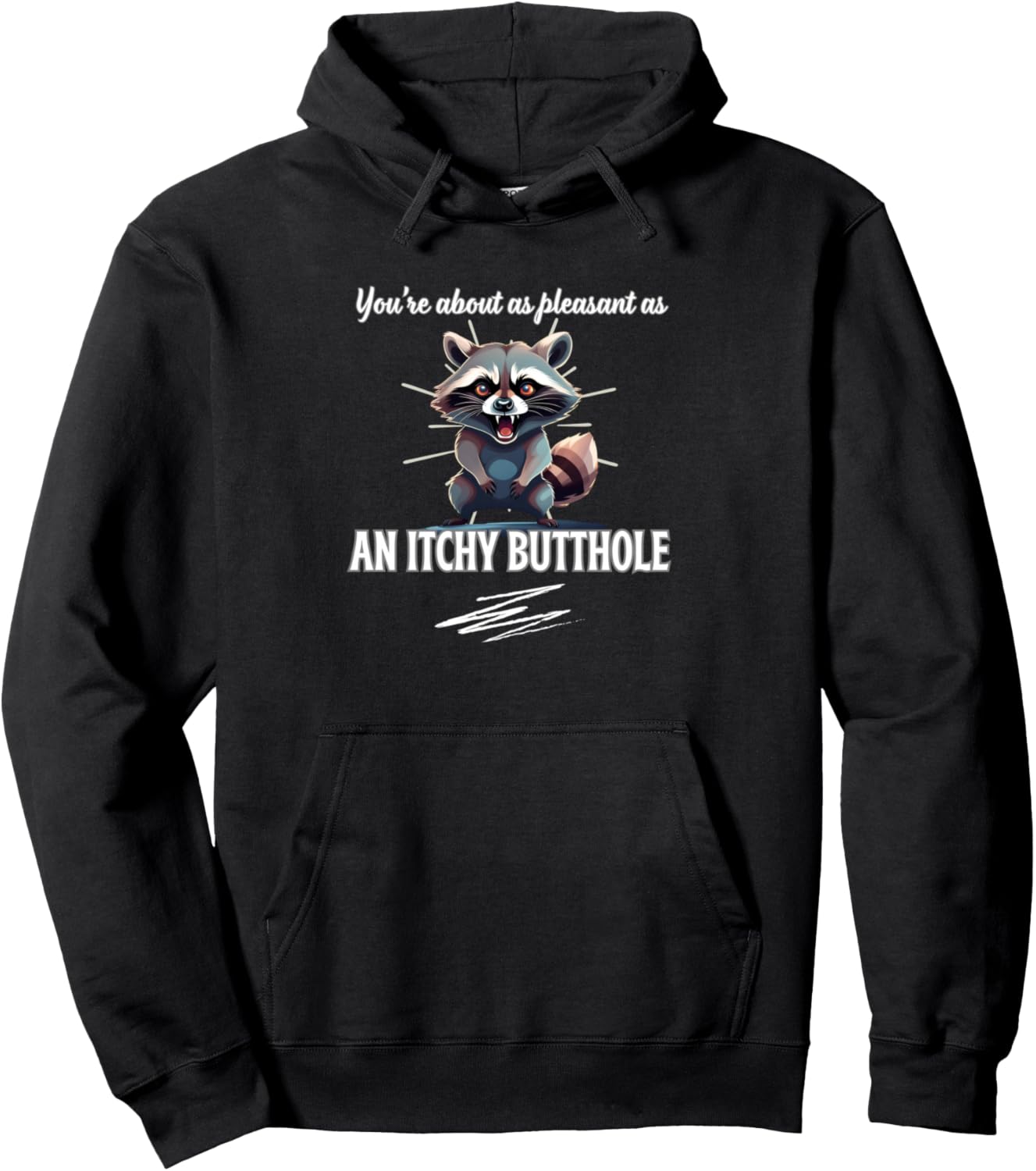 You\u2019re About As Pleasant As An Itchy Butthole Raccoon Fun Pullover Hoodie