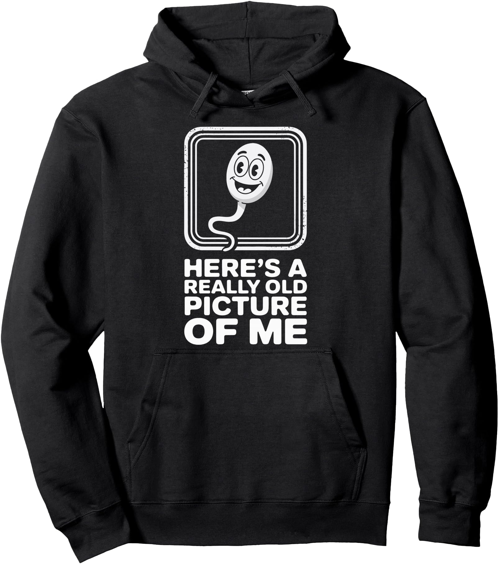 Here's A Really Old Picture Of Me Pullover Hoodie