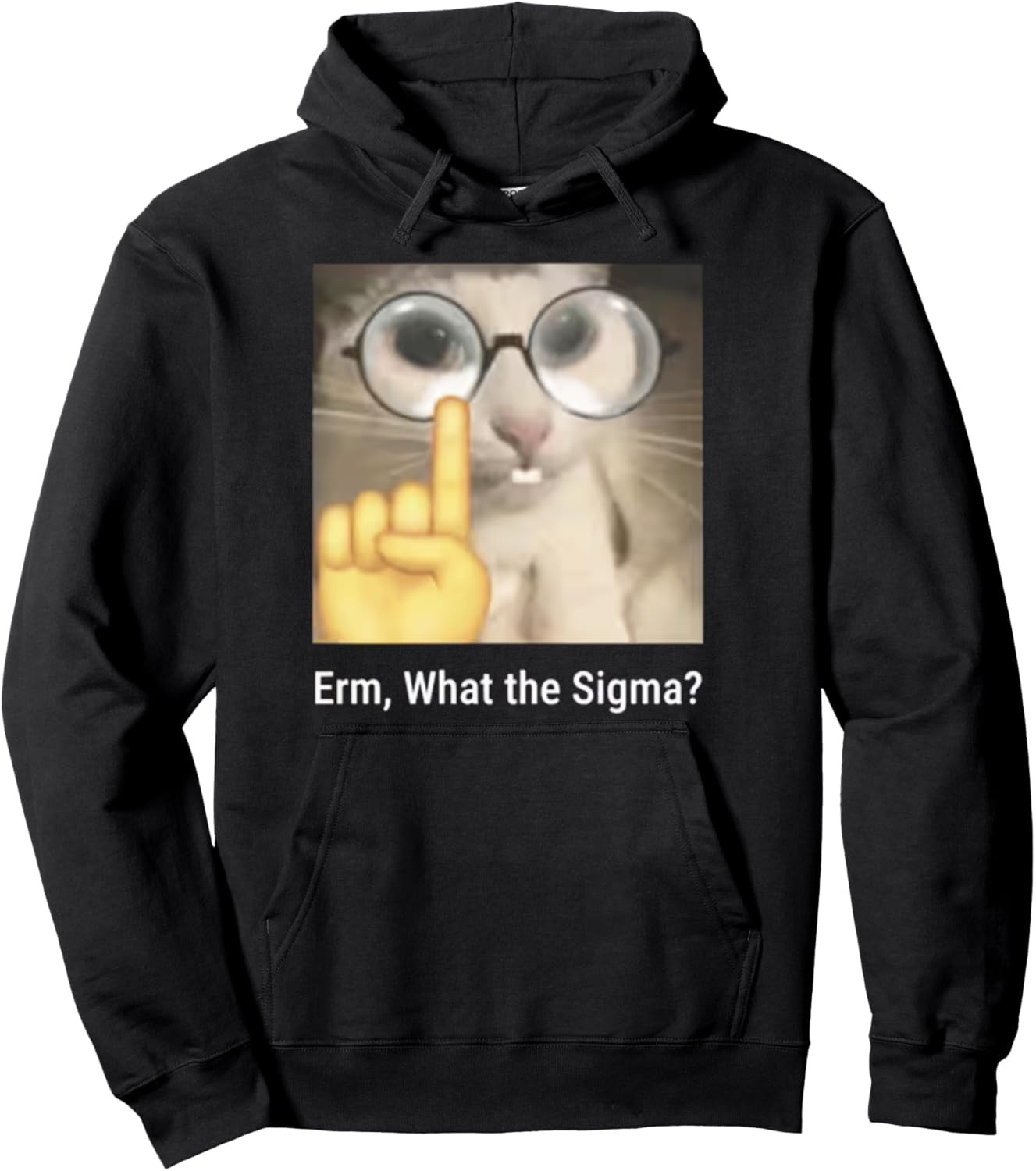 Erm, What the Sigma? Cat Meme Funny Pullover Hoodie