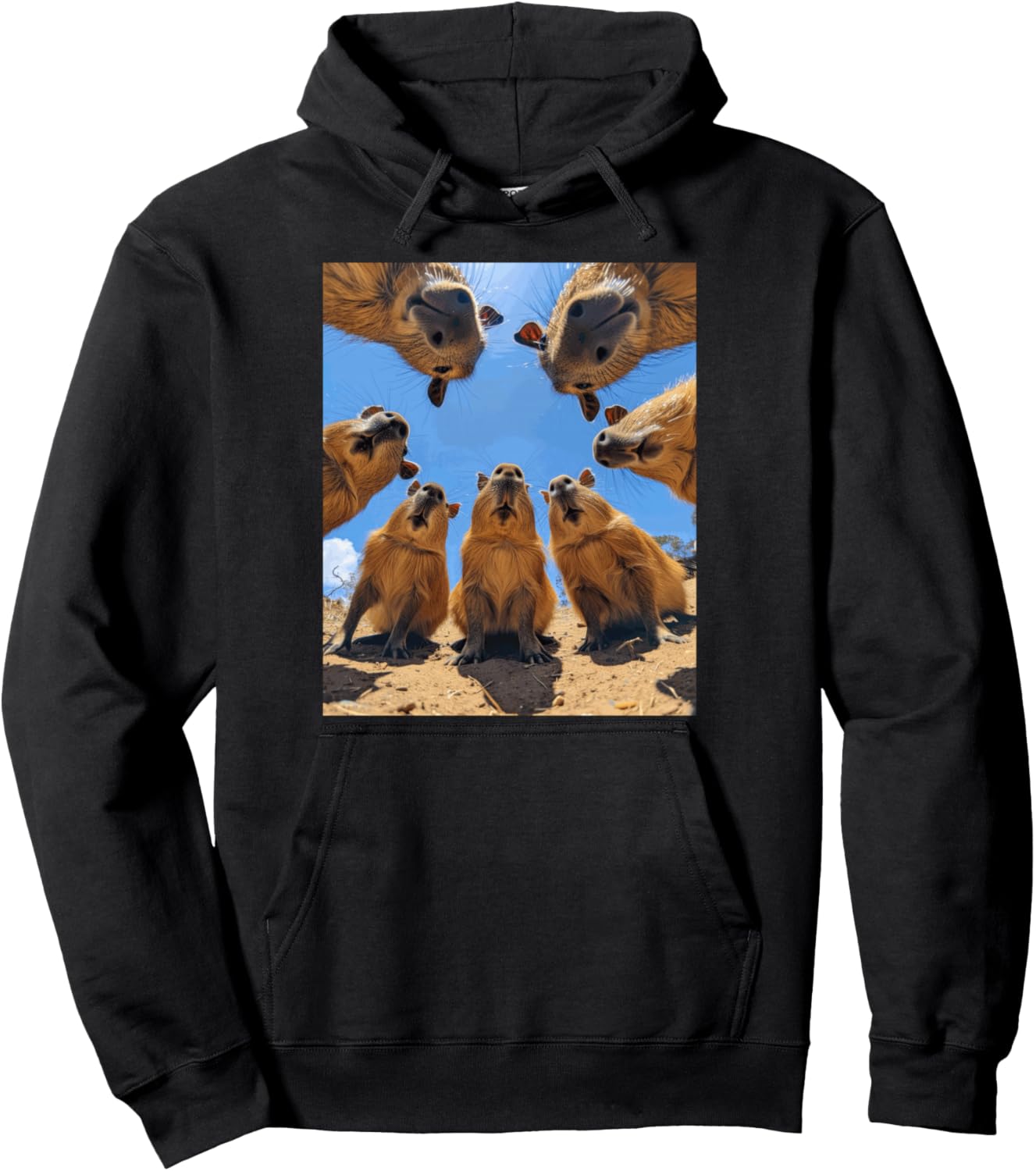 Funny Graphic Capybara Pullover Hoodie