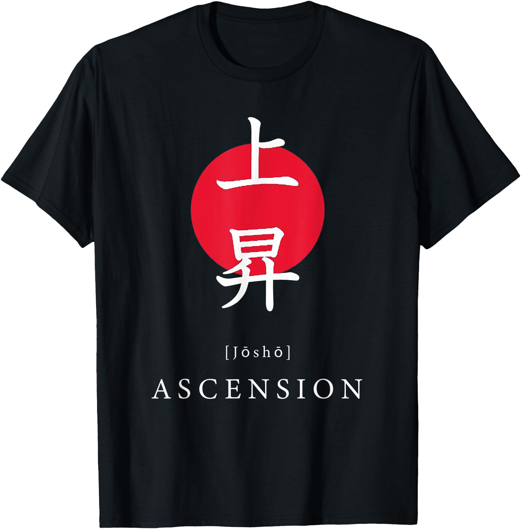 Ascension japan Motivational Kanji Japanese Calligraphy