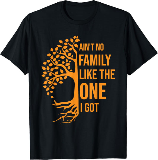 Ain't No Family Like The One I Got Family Reunion T-Shirt - Unisex-Adults, Black, Small, Short Sleeve, V-Neck, Modern, Casual, Holiday, Father's Day, Mother's Day, Thanksgiving