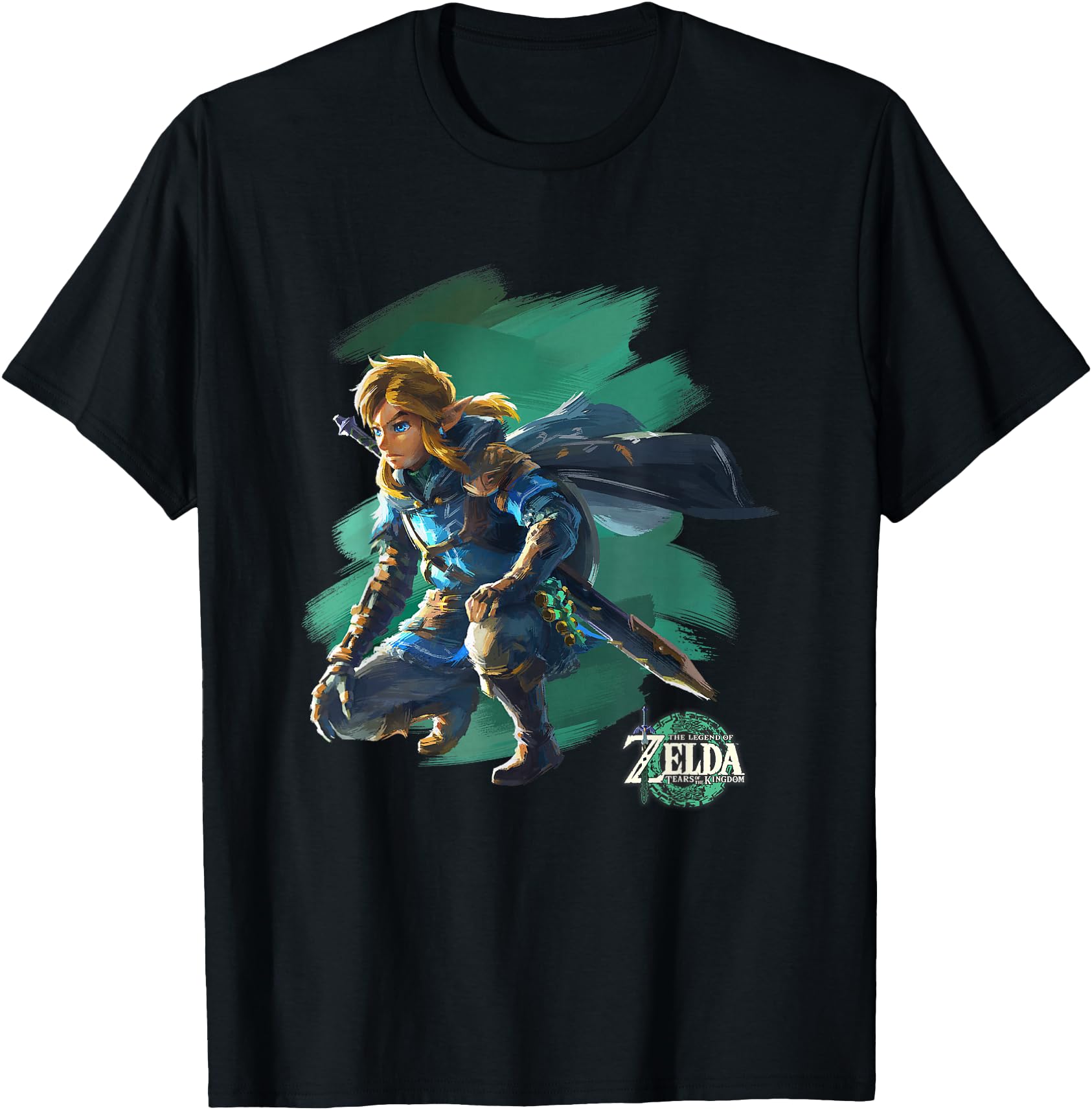 The Legend of Zelda Tears of the Kingdom Painted Link