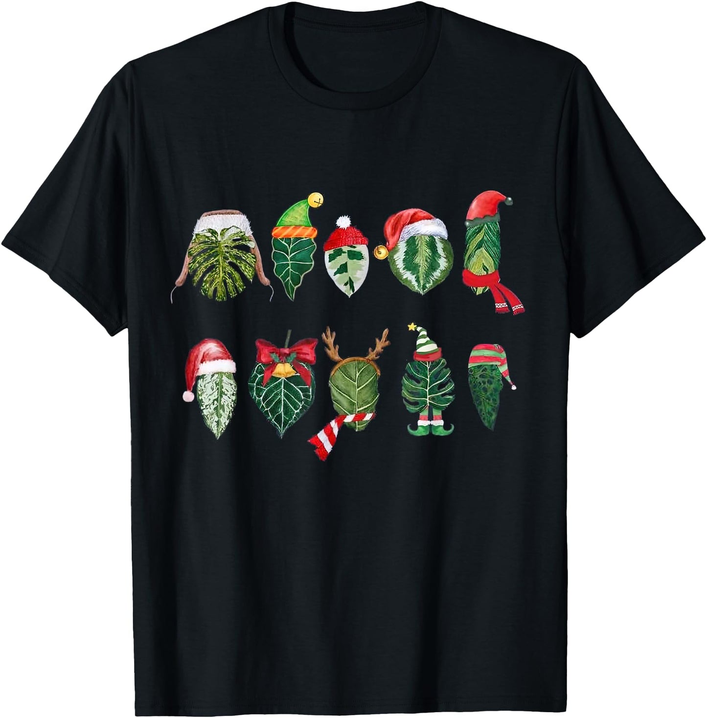 Christmas Plant With Monstera, Alocasia, Ficus, And Calathea