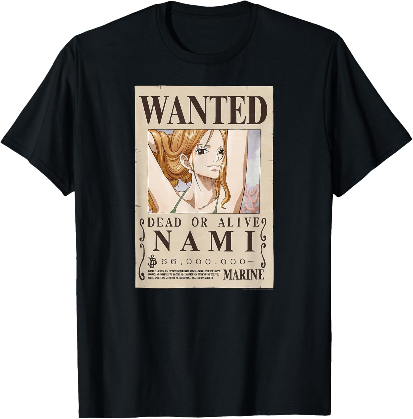 One Piece Anime Cat Burglar Nami Wanted Poster