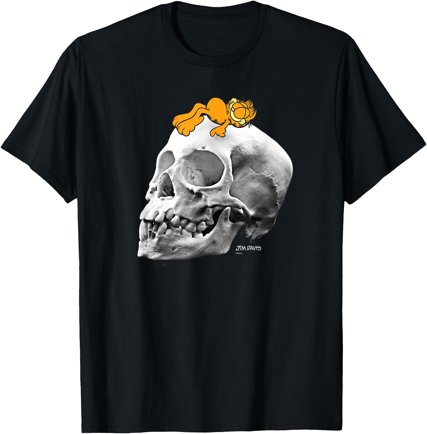 Garfield Lounging on Skull Spooky Cartoon Cat