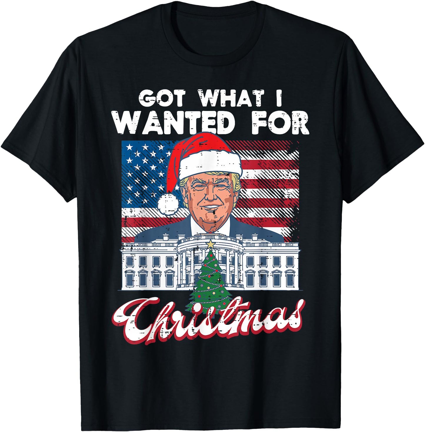 Got What I Wanted for Christmas Funny US Flag Xmas Men Women