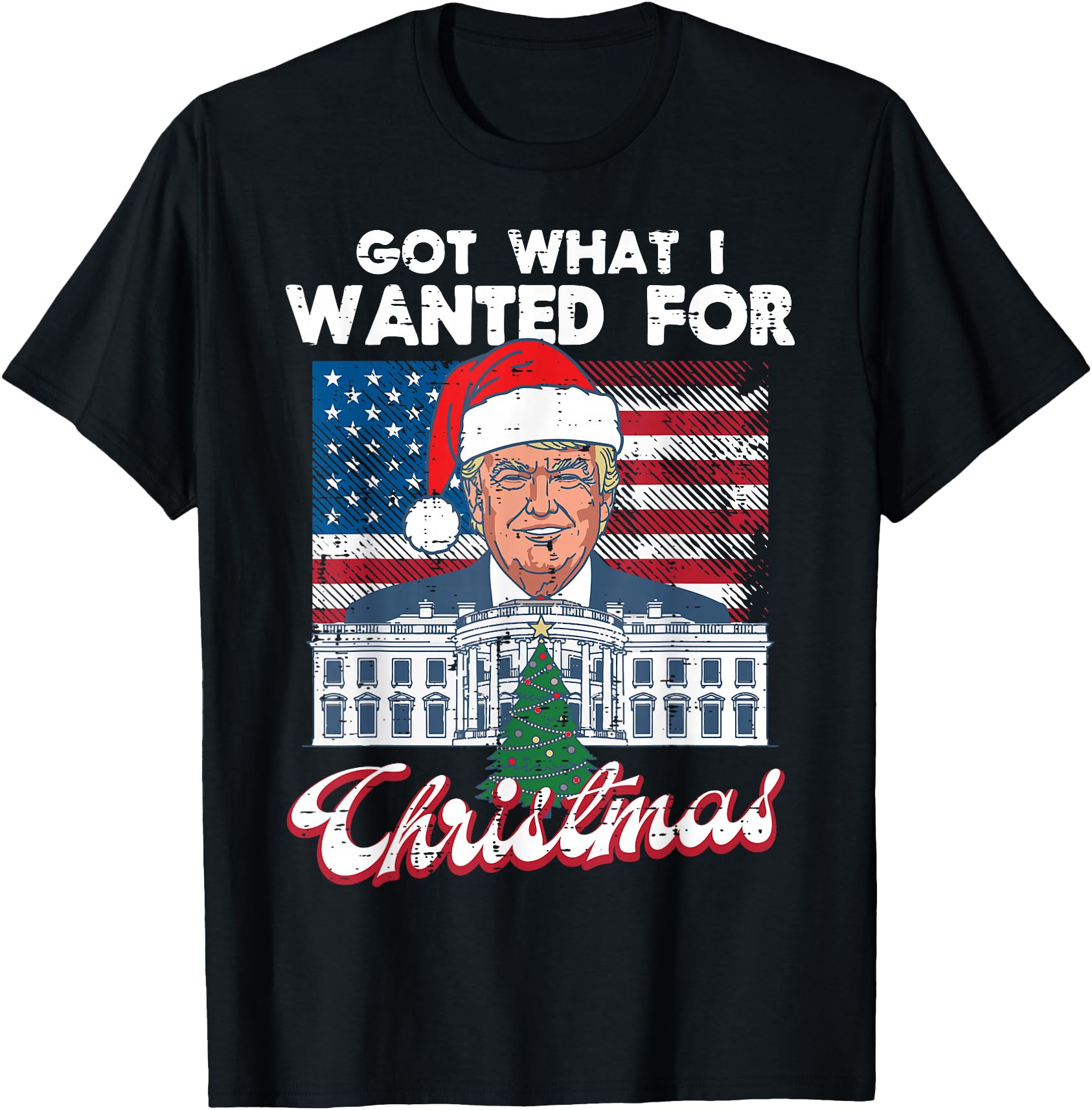 Got What I Wanted for Christmas Funny US Flag Xmas Men Women