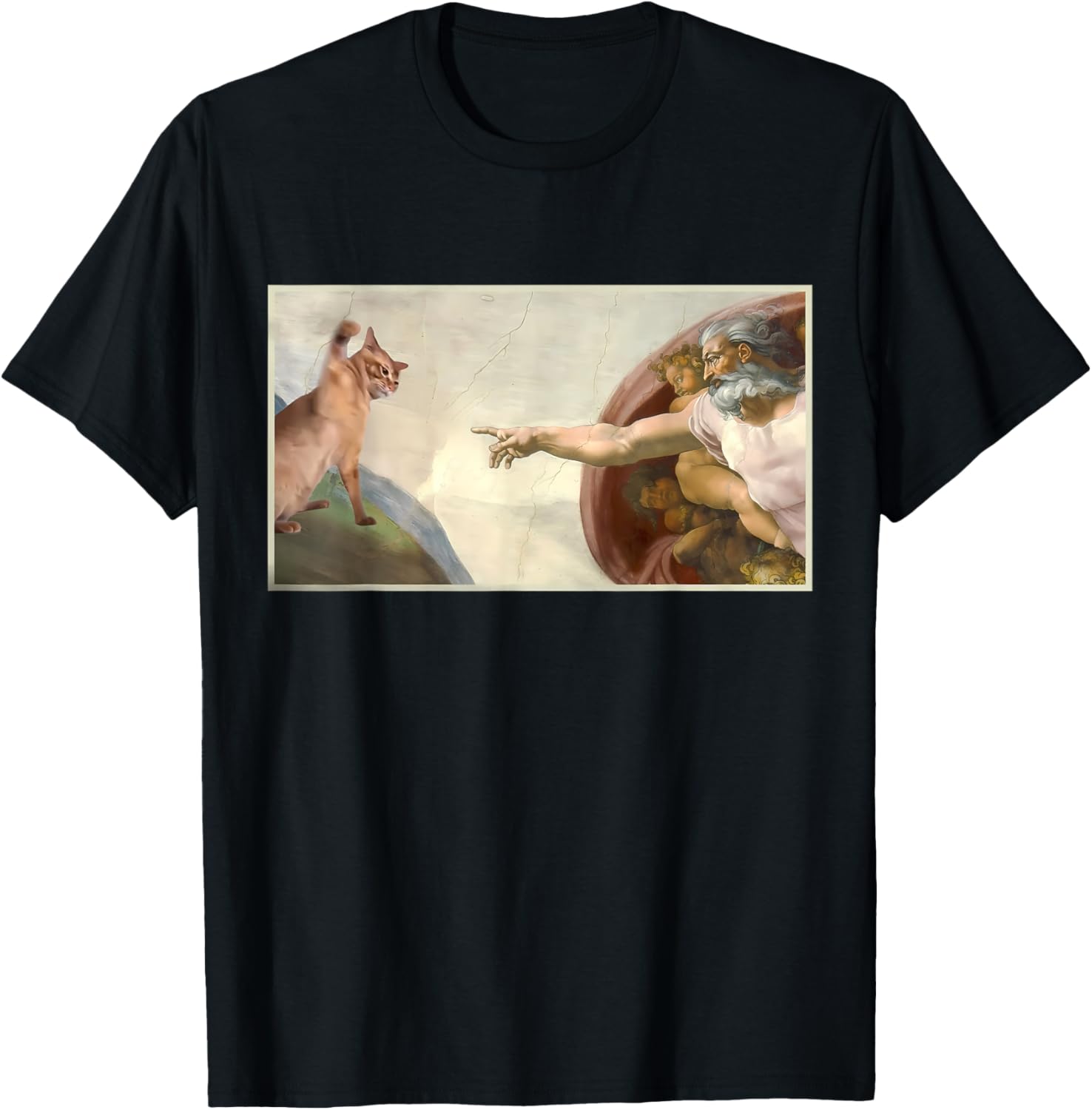 Funny Cat Slap Sarcastic Creation Of Adam Cat Meme Cat Lover