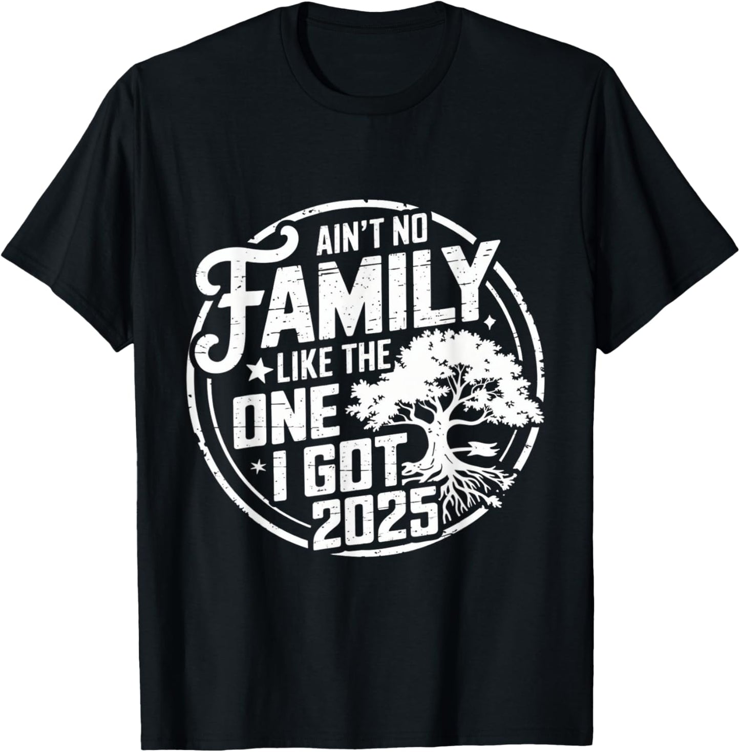Ain't No Family Like The One I Got Reunion 2025 funny T-Shirt